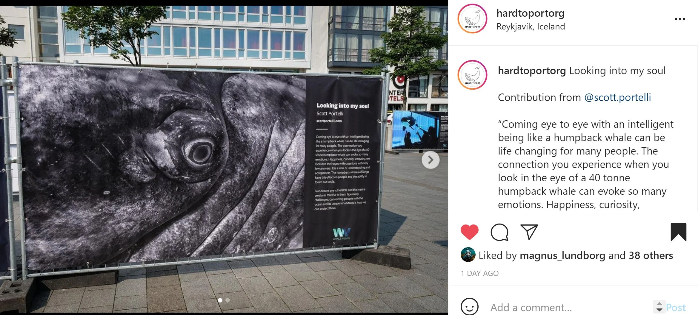 Whale Vision Exhibition in Reykjavík