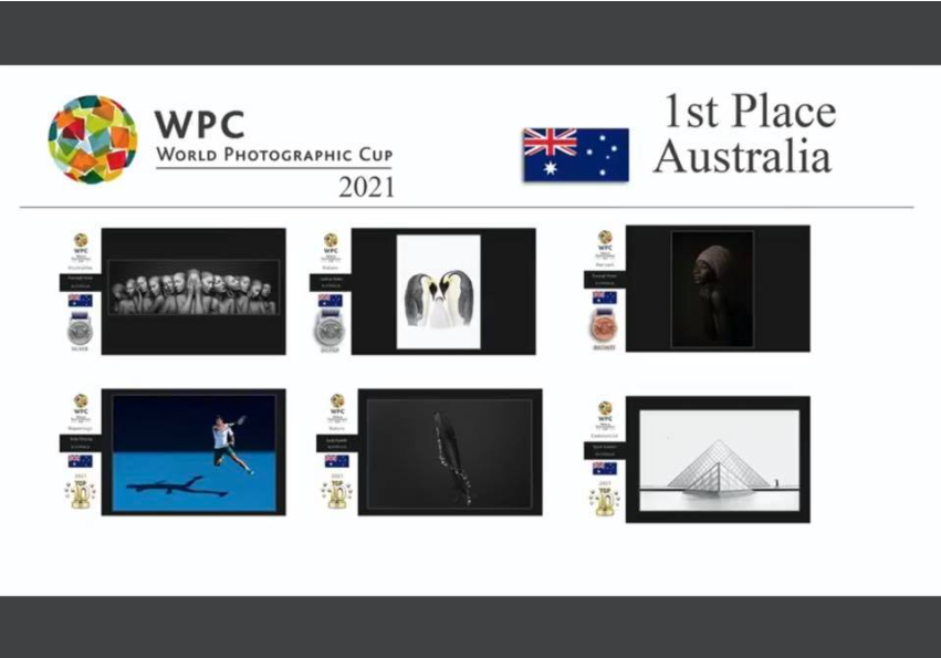 False Killer Whale Photo wins at the Photographic World Cup