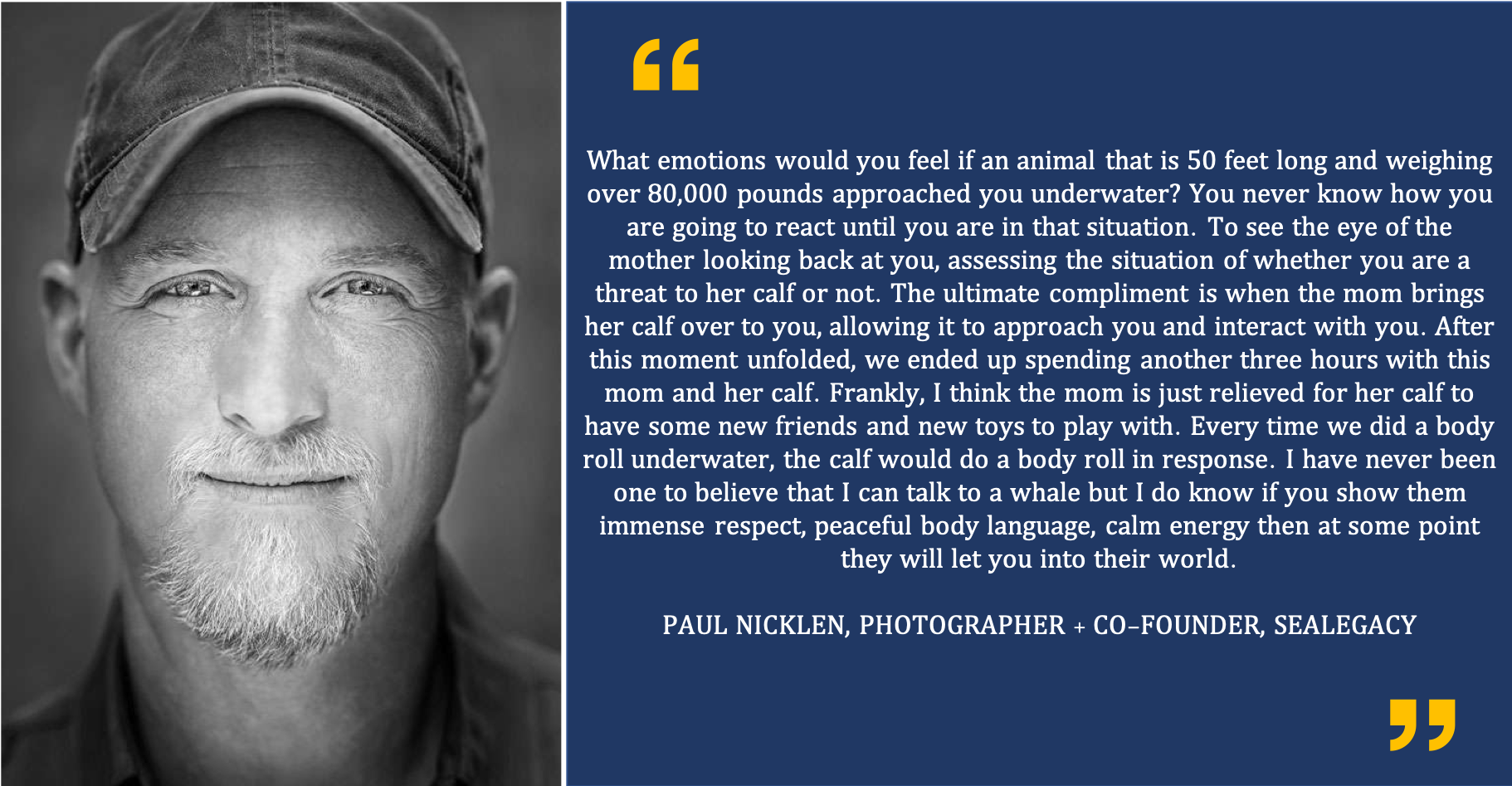 Wildlife photographer Paul Nicklen visits Tonga
