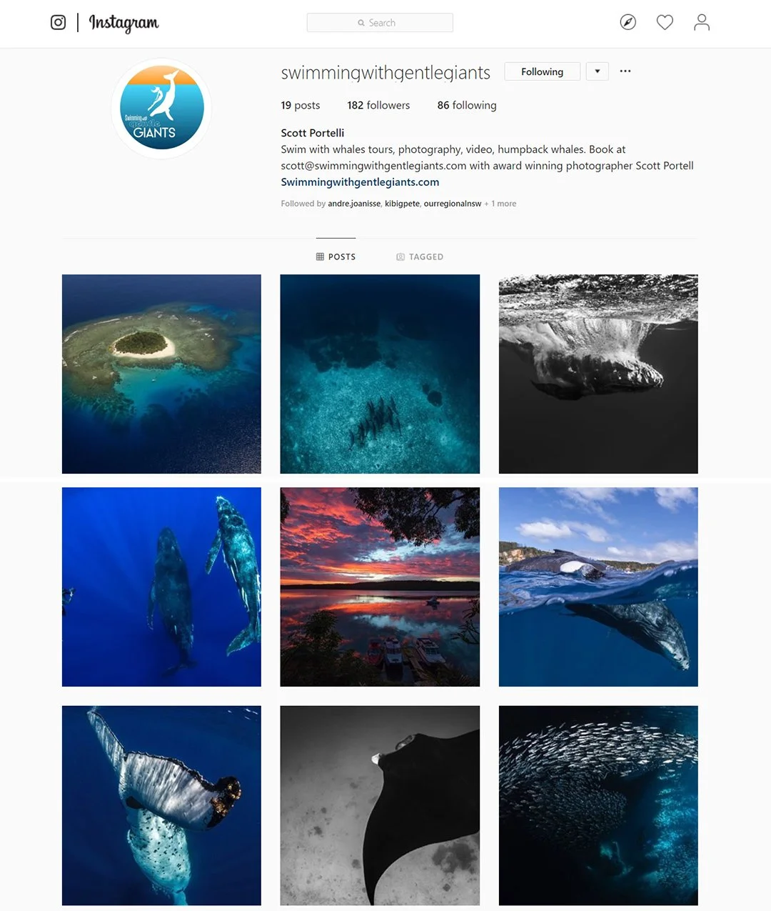 Swimming with Gentle Giants is on Instagram!