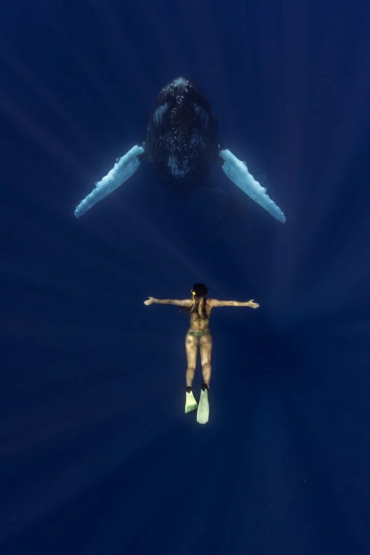Sarah and the Whale