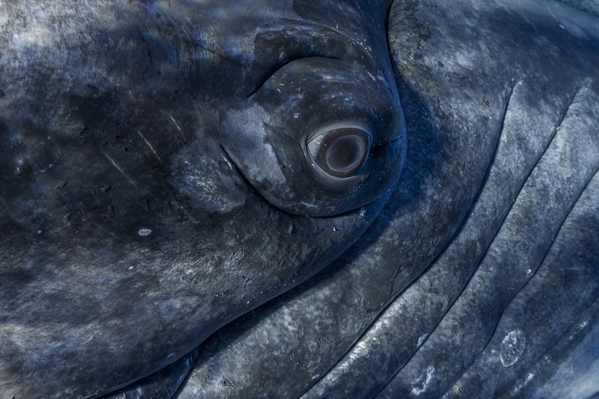 Close-up of a dark, textured, and weathered marble or stone surface with a circular pattern or hole.