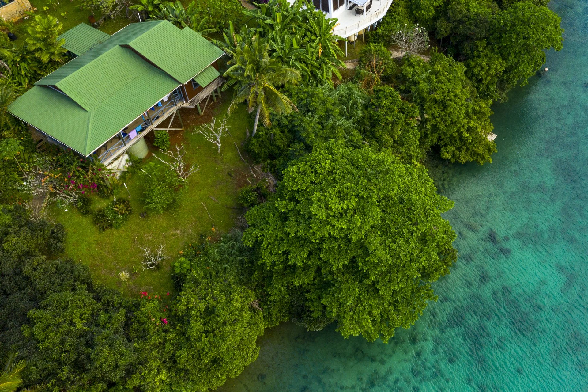 Aerial view of a tropical landscape with green trees and a house with a green roof next to a blue-green body of water.