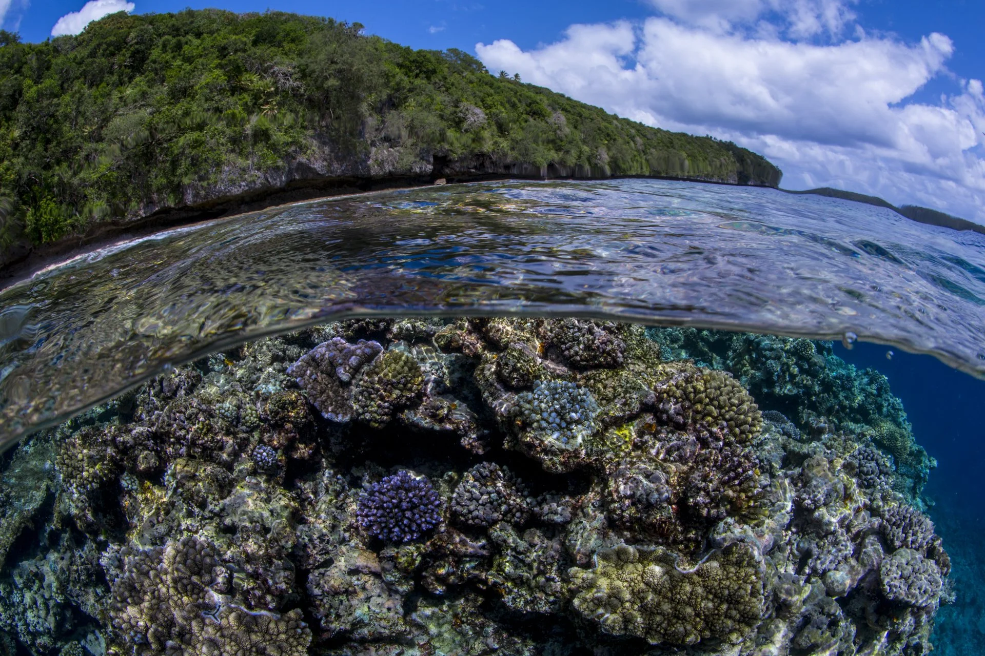 The image shows a coastal scene with a lush green hillside, blue sky, and clouds. The photo is taken at the water's edge, capturing both the underwater coral reef and the ocean surface, with the horizon in the distance.