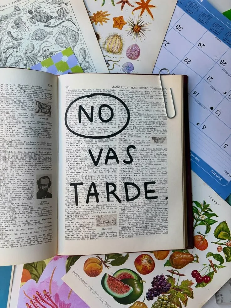 escribir libros
