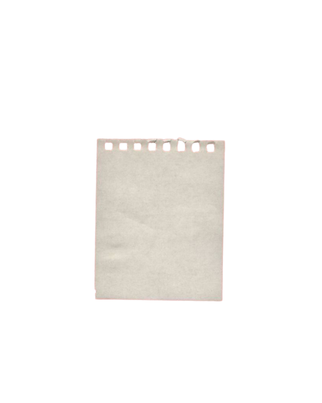 Una pagina di un taccuino con bordo perforato superiore, sfondo bianco e una parte blu, con righe."