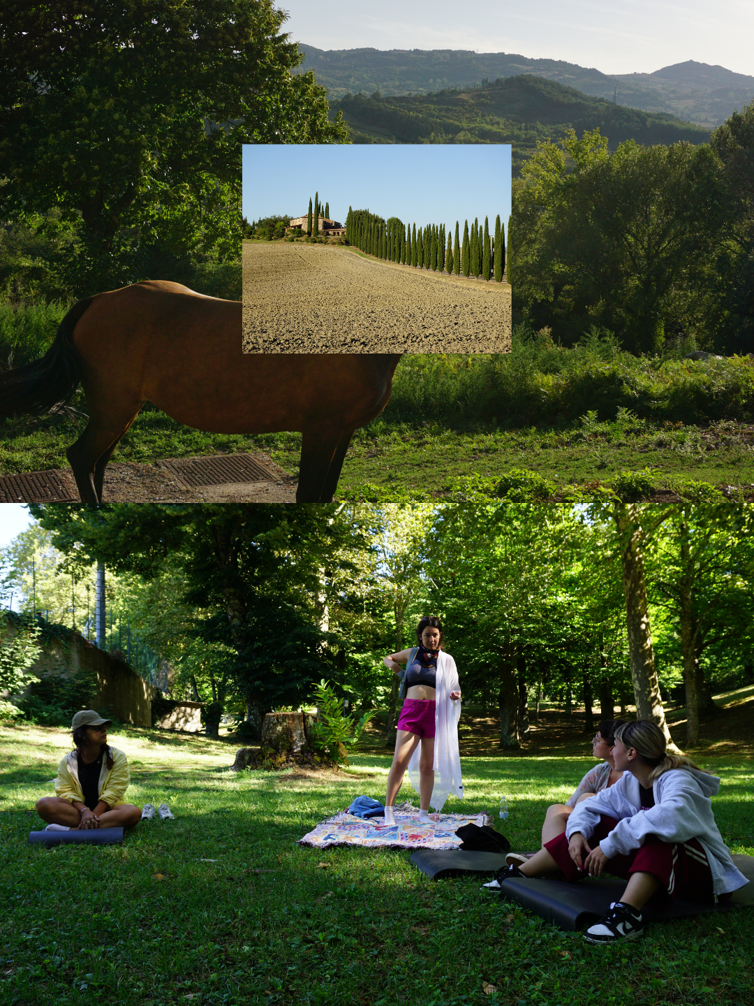 toscana viaje retiro artístico