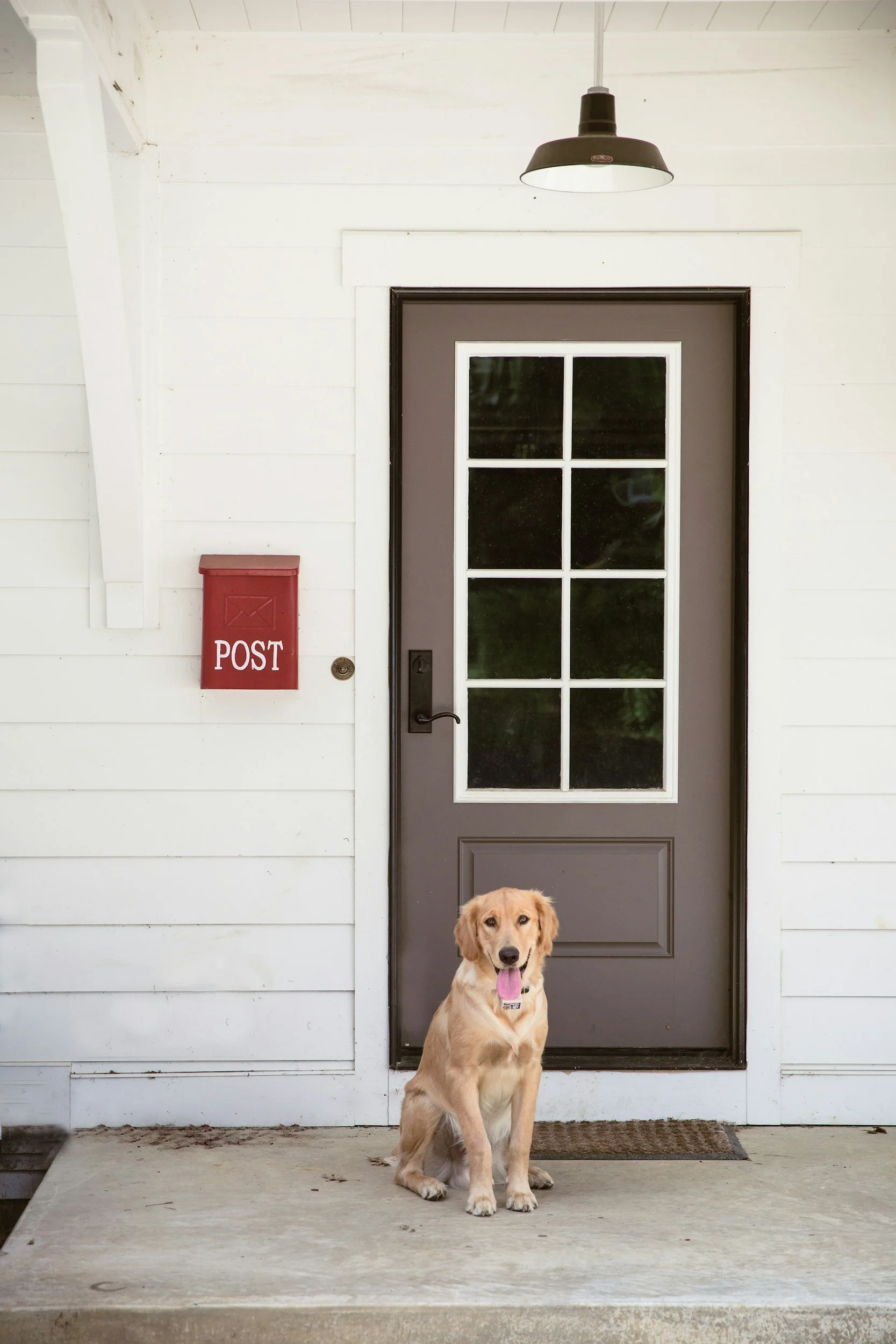Ein Hund sitzt vor einer Grautür mit weißen Fenstern. Es gibt eine rote Briefkastenbox mit der Aufschrift "POST" an der weißen Wand. Eine schwarze Deckenleuchte hängt an der Decke. Ein Hund sitzt auf der gefliesten Veranda vor der Tür.