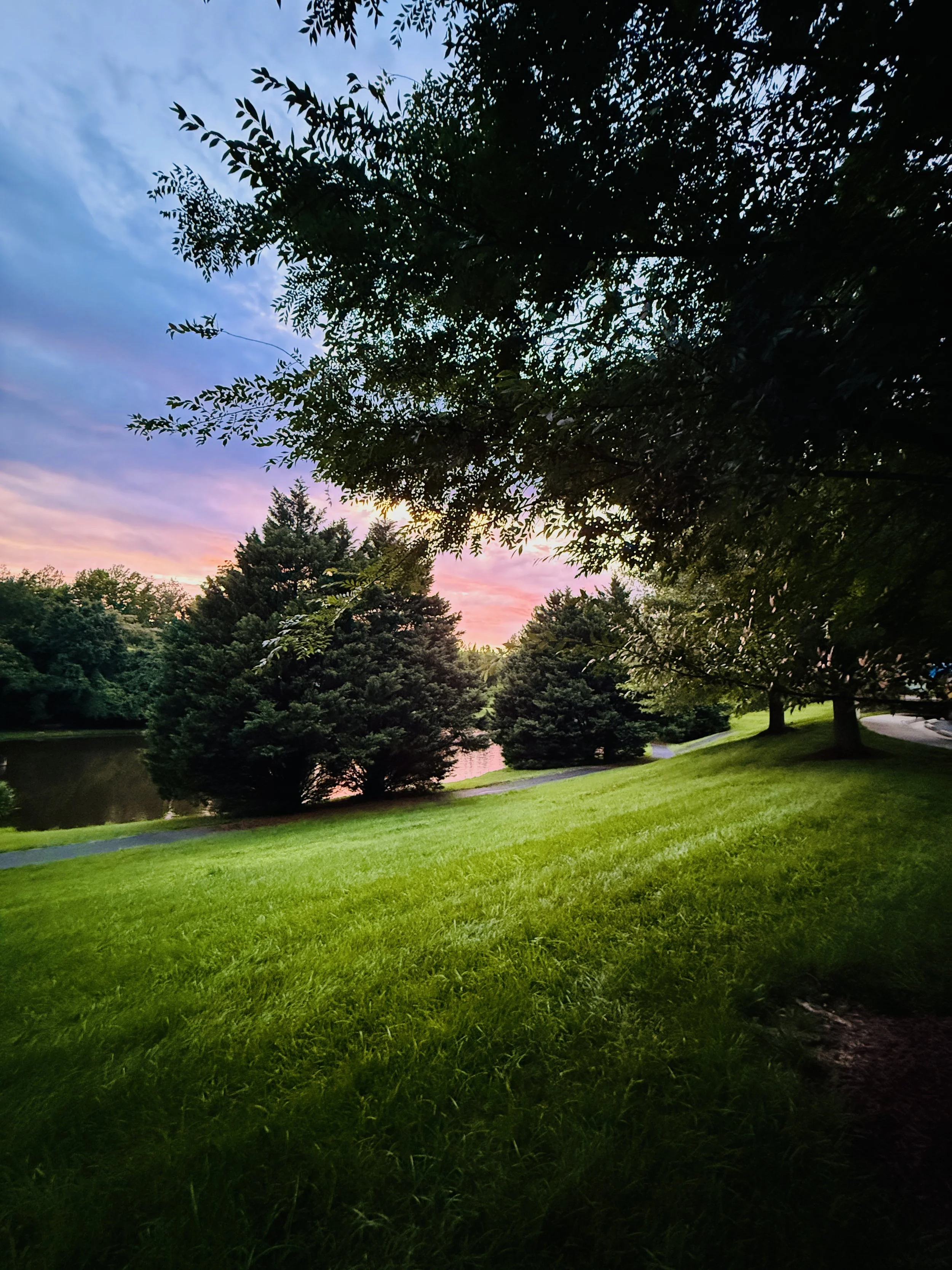 A scenic park scene at sunset with green grass, trees, a pond, and a colorful pink and blue sky.