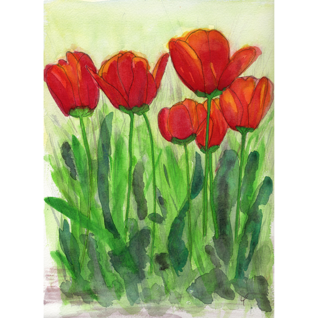 Red tulips 2.png