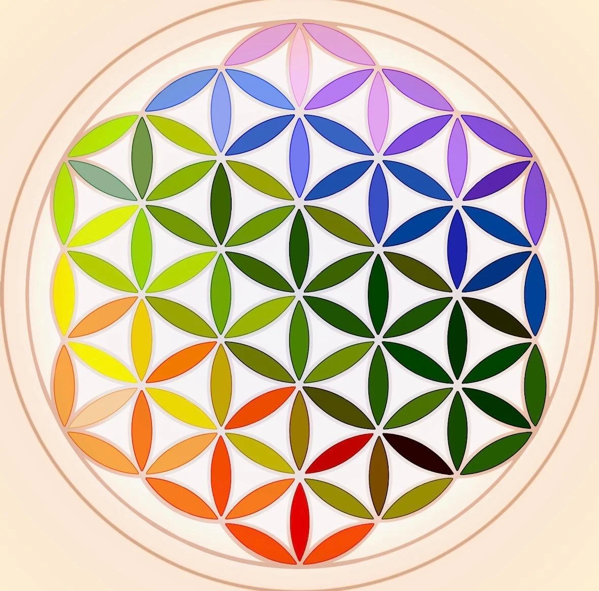 Colorful Flower of Life geometric mandala with overlapping multicolored petals in a circular design