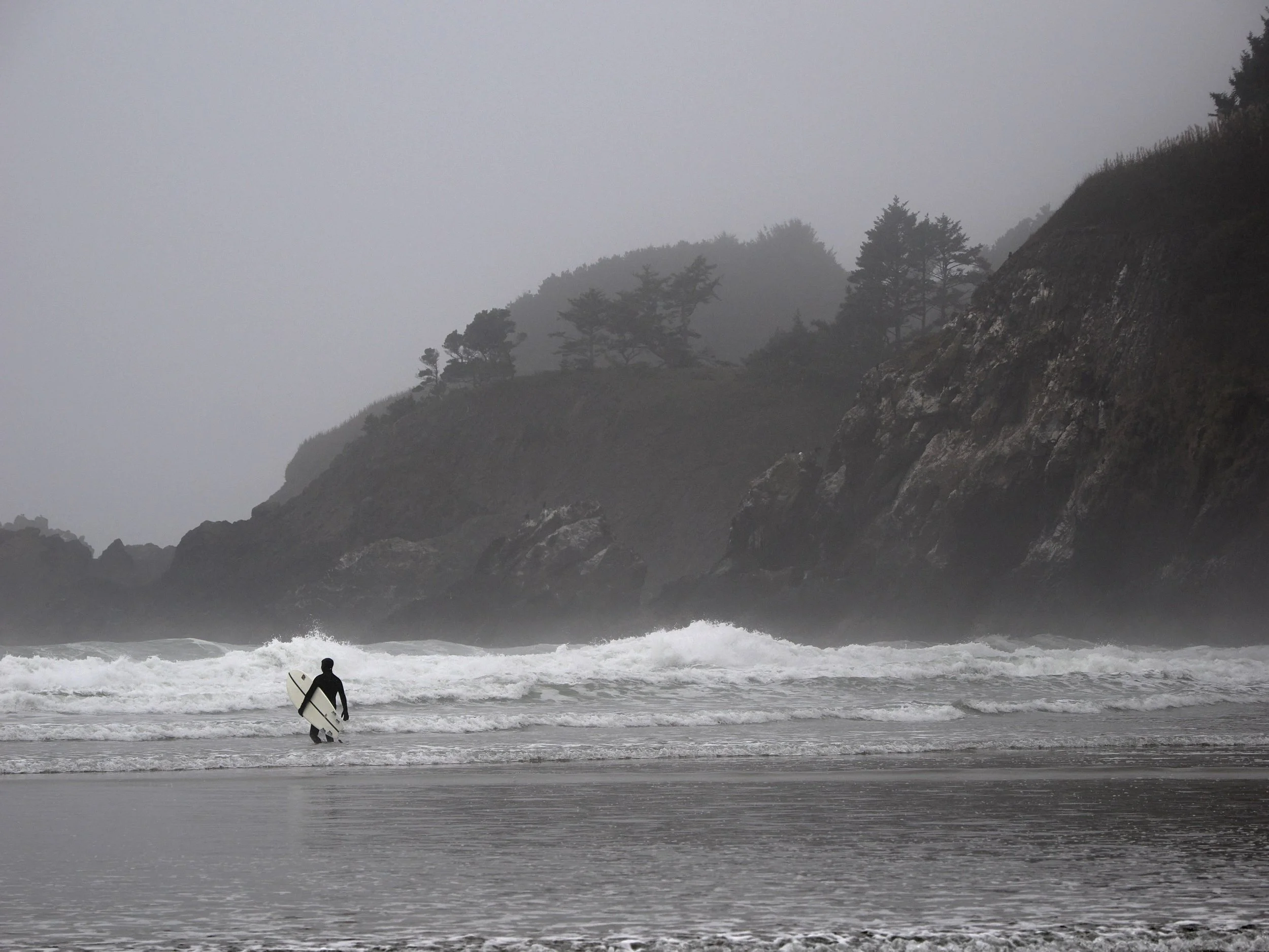 A person holding a surfboard walking into the ocean on a foggy day, with rocky cliffs and trees in the background.