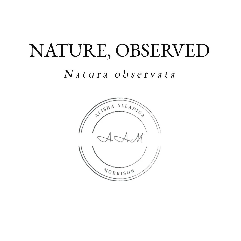 Nature, Observed