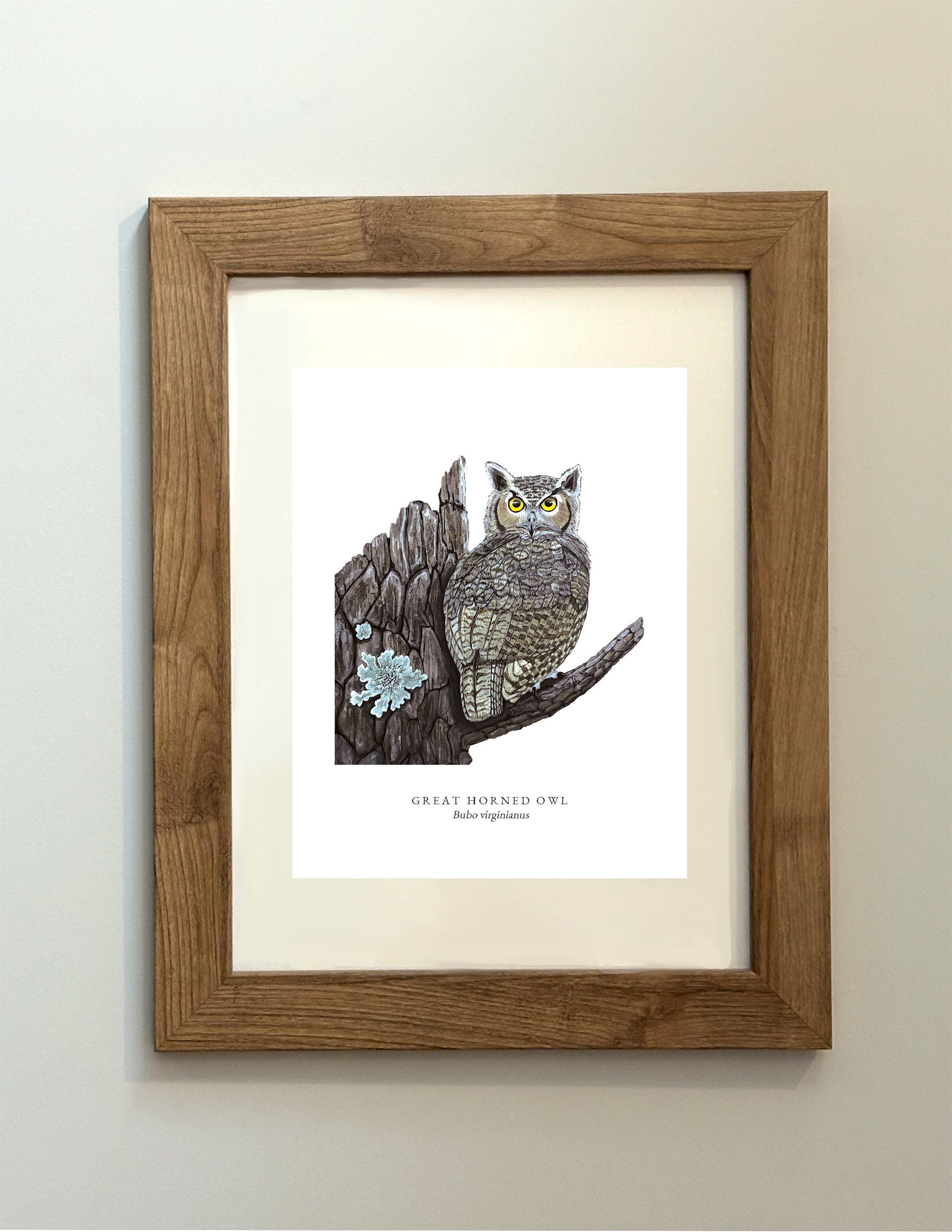 GREAT HORNED OWL MOCK UP.jpg