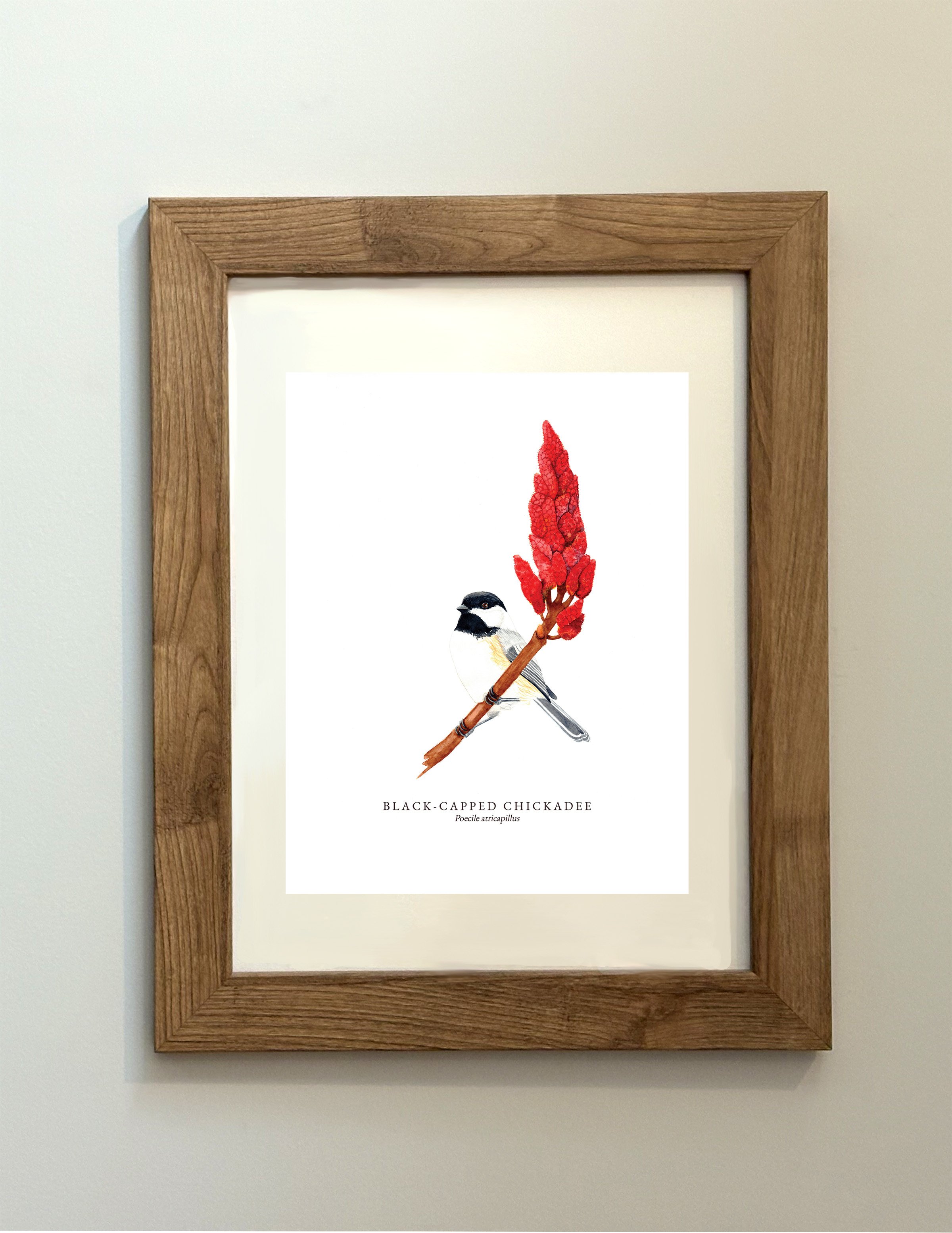 BLACK CAPPED CHICKADEE MOCK UP.jpg