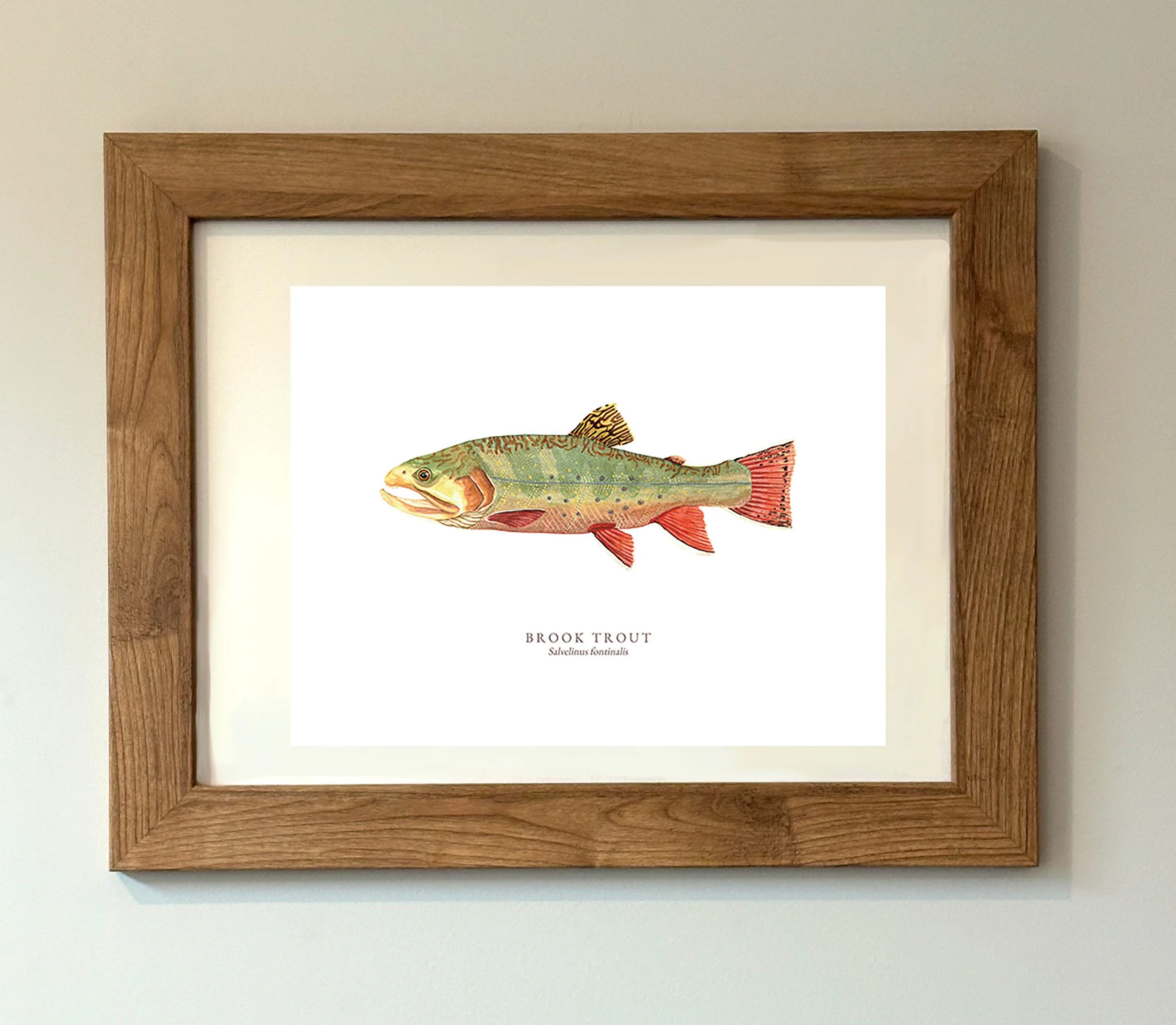 BROOK TROUT MOCK UP.jpg