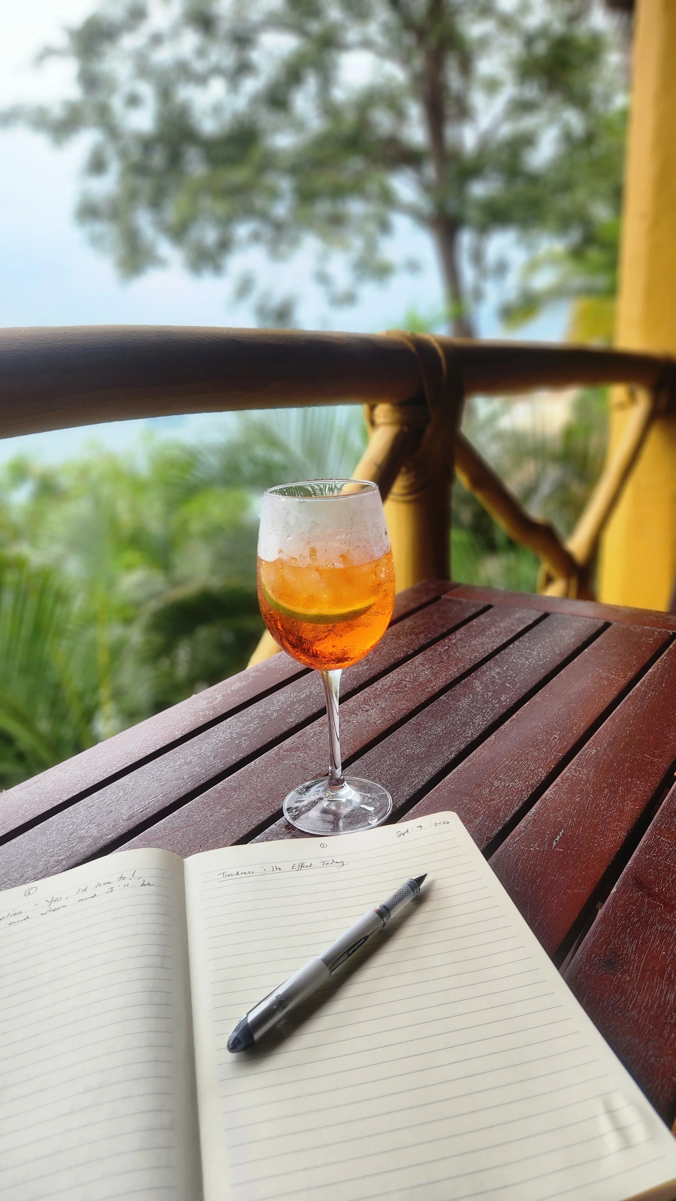 BLOG #2