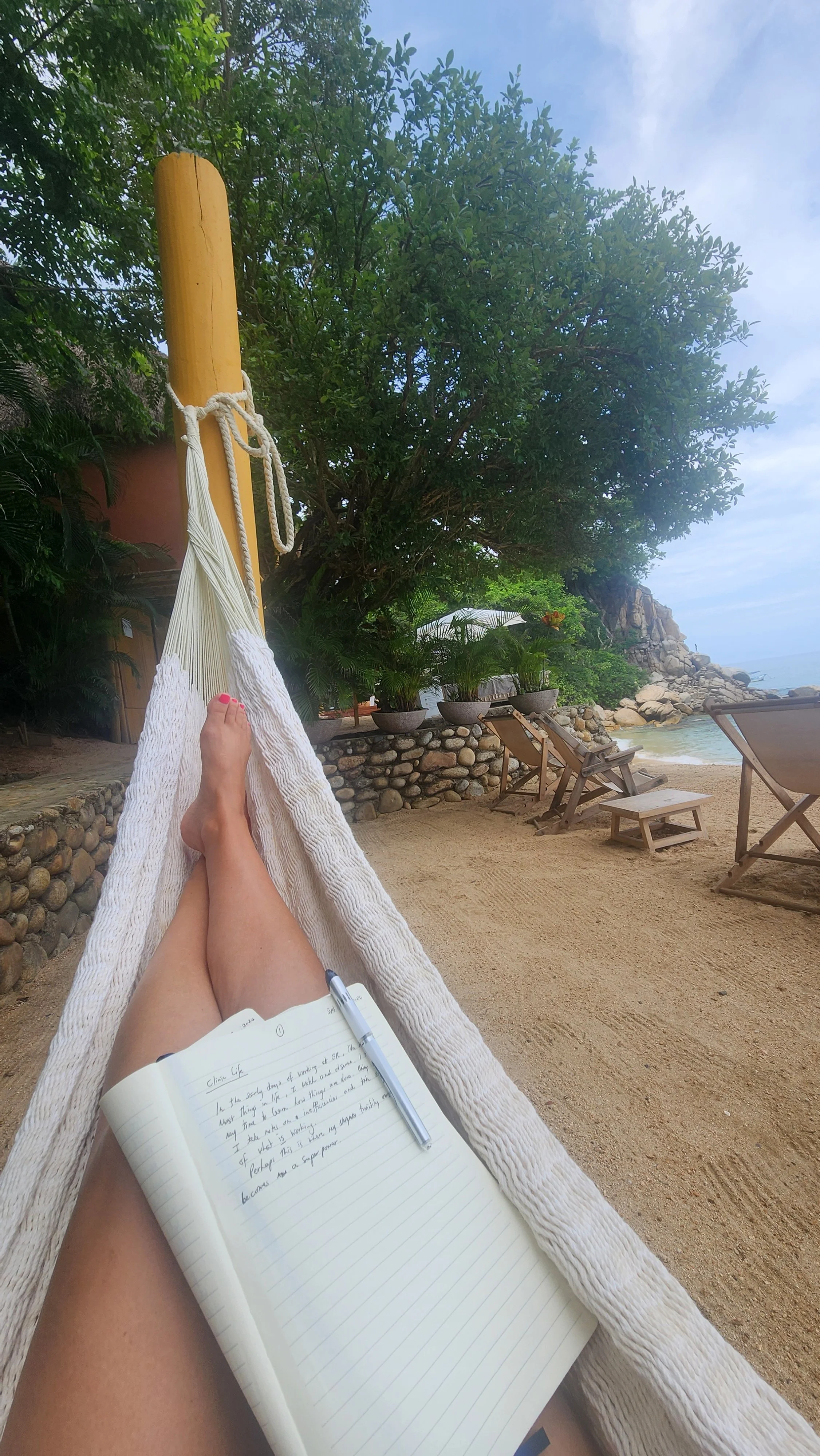 BLOG #3