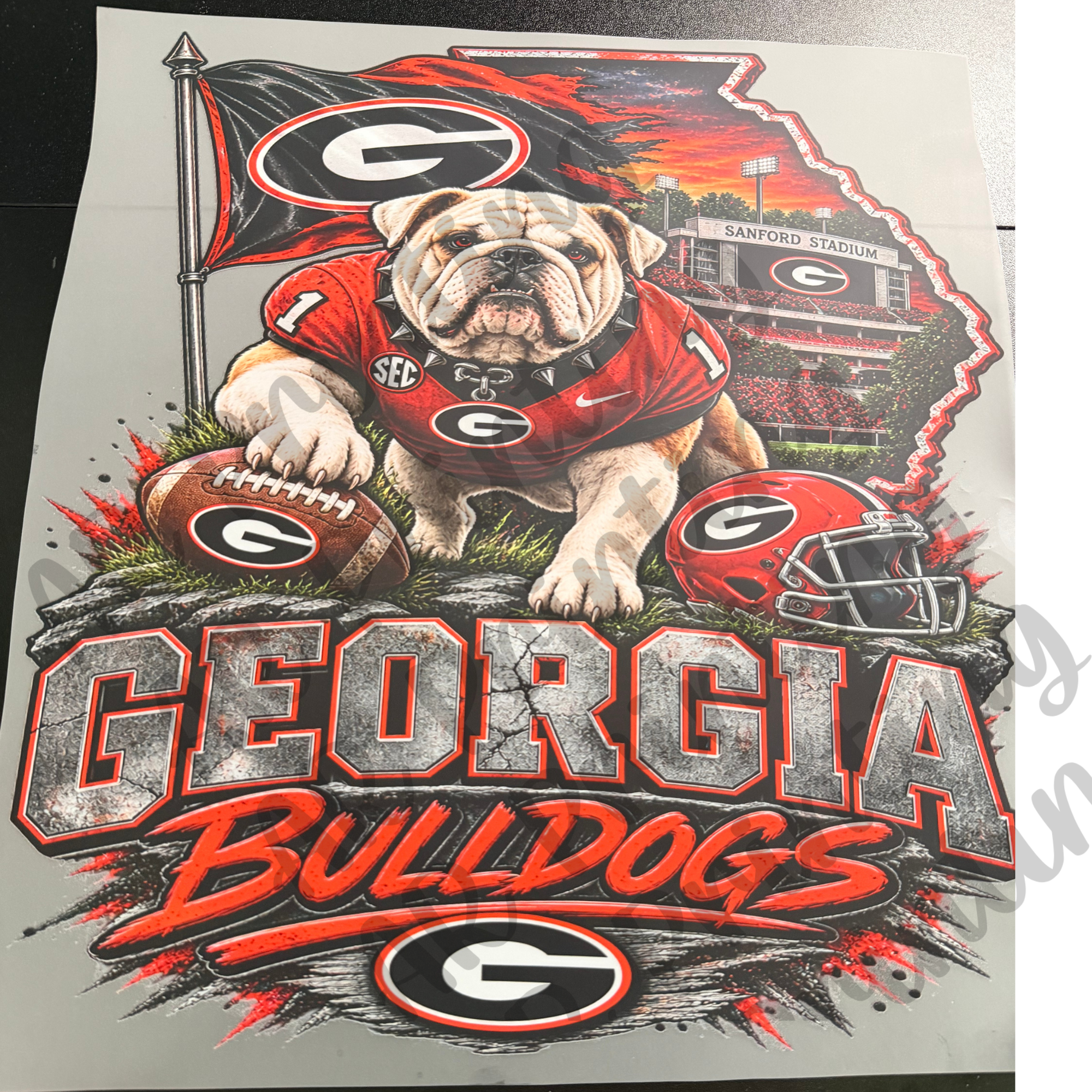 Georgia Bulldogs