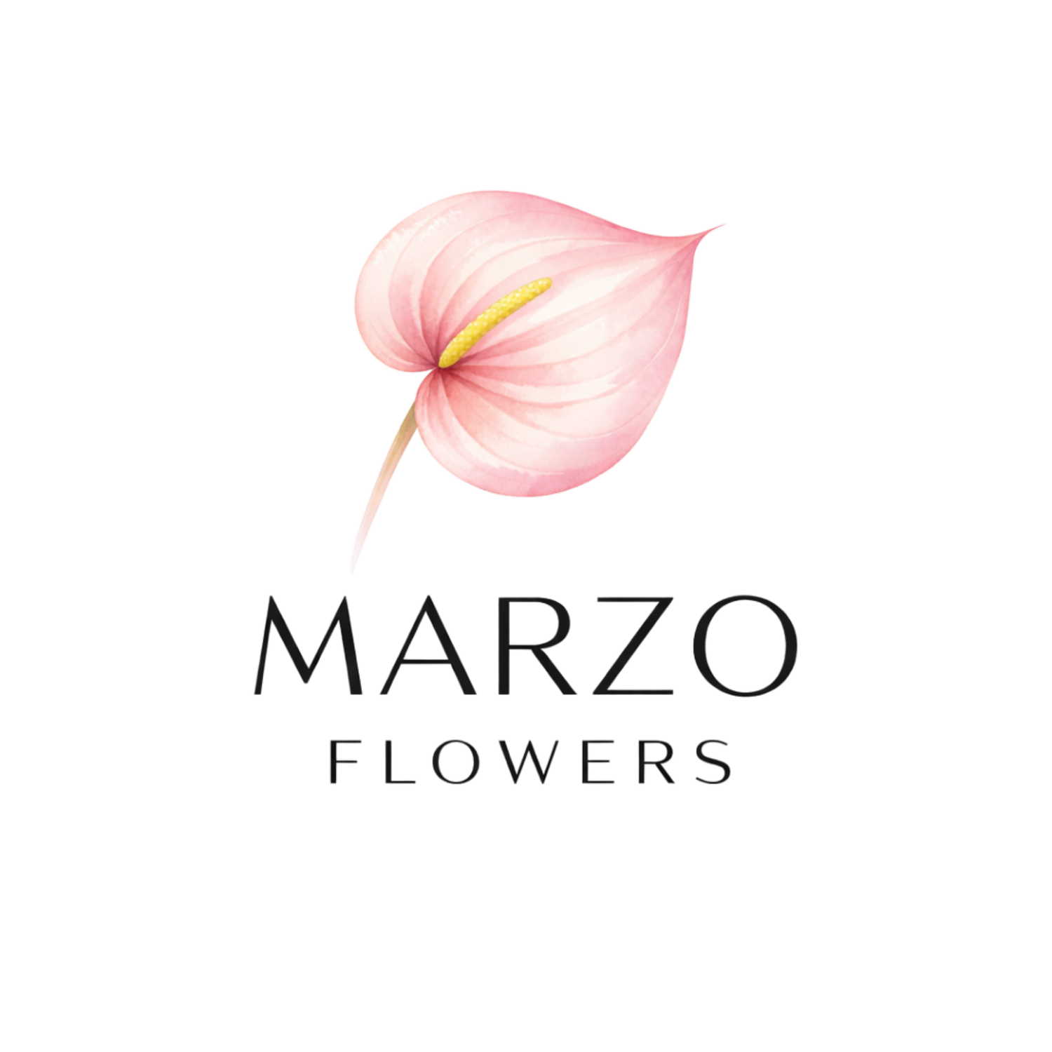 MARZO FLOWERS