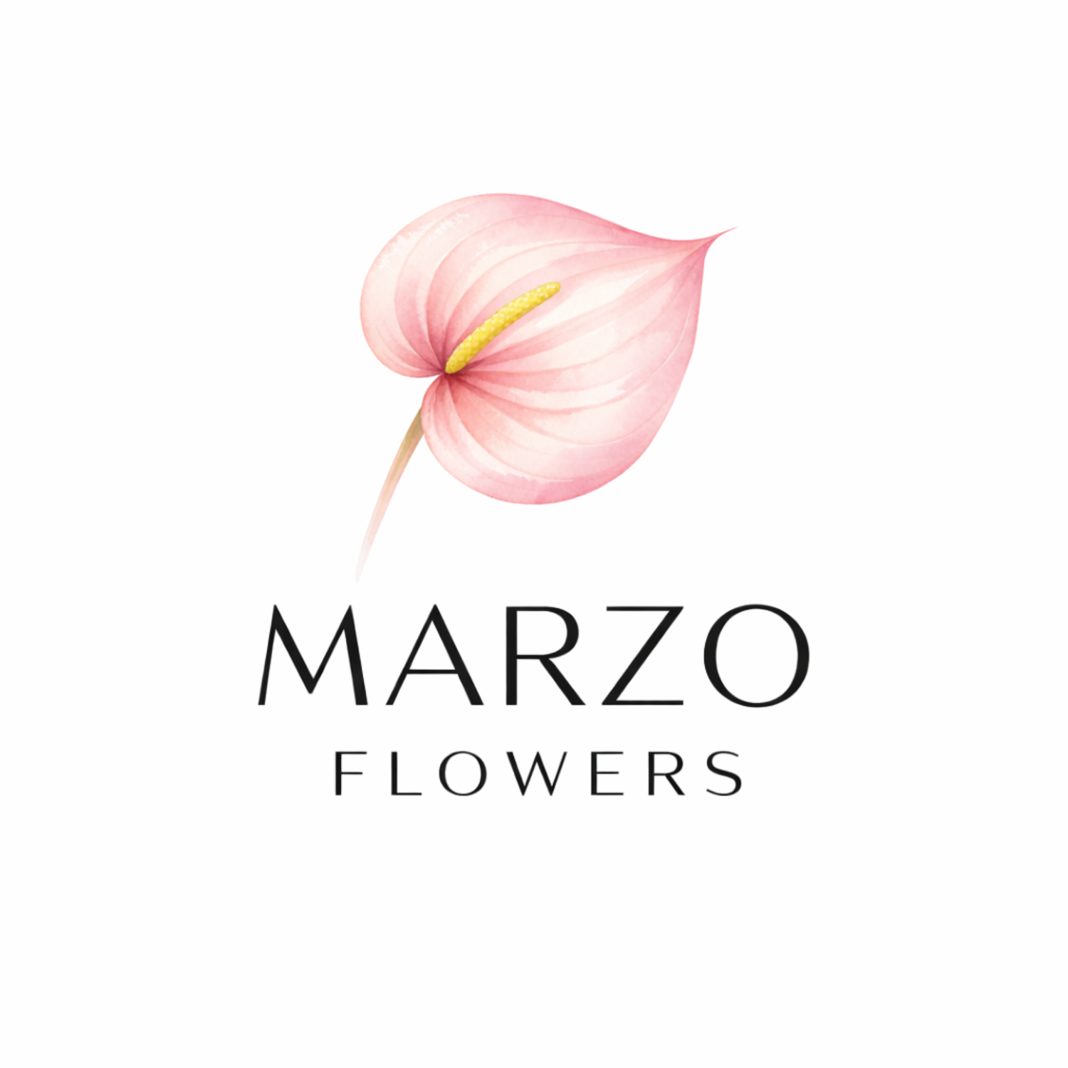 MARZO FLOWERS