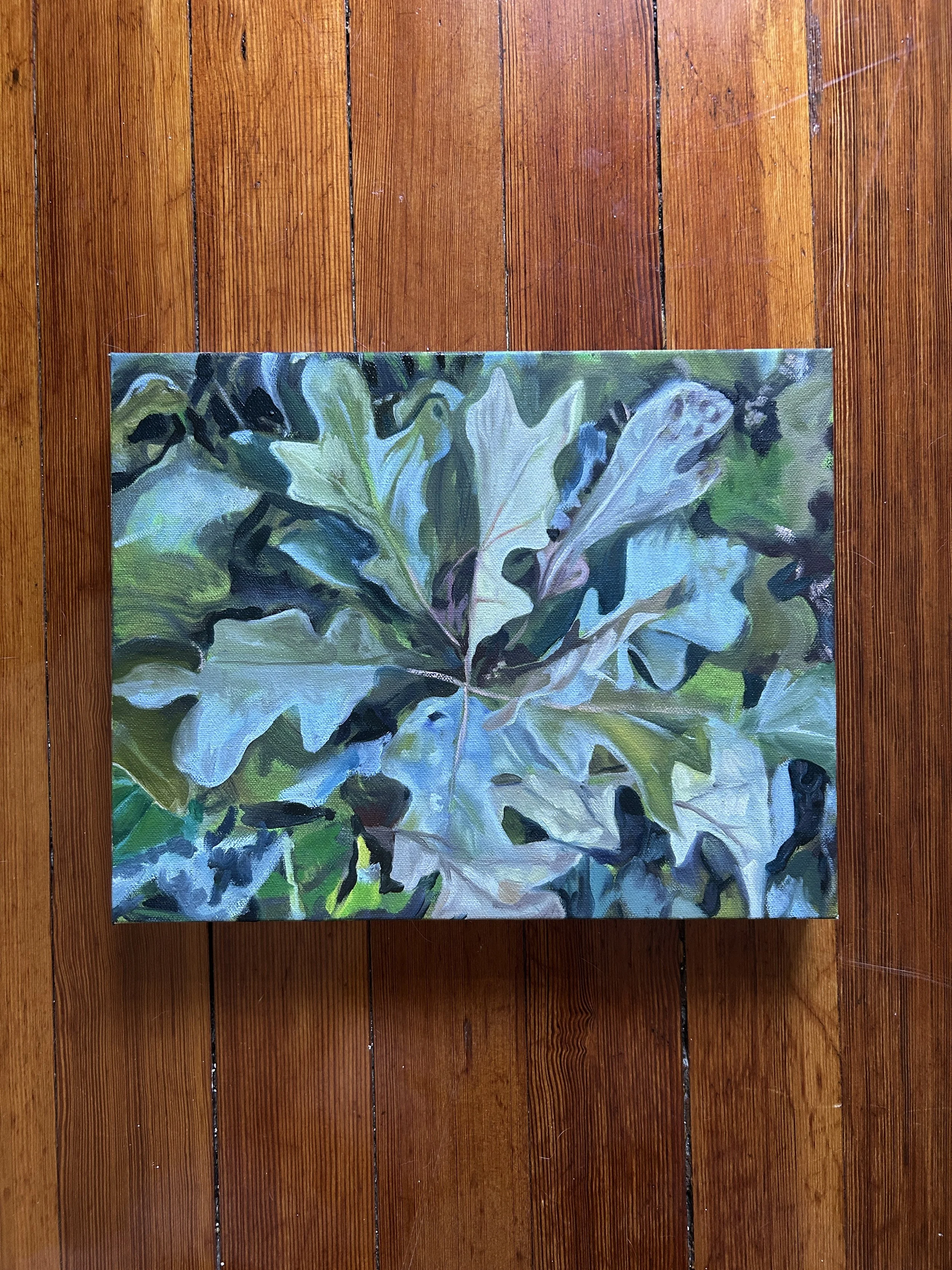 oak underfoot