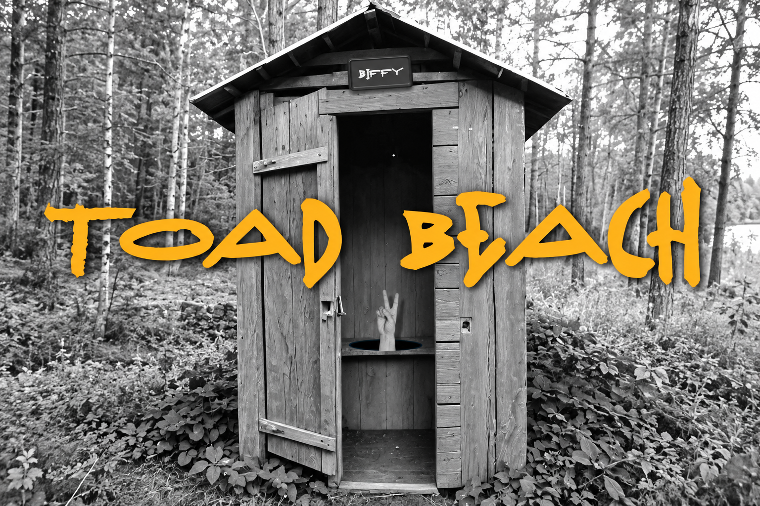 Toad Beach screenplay artwork