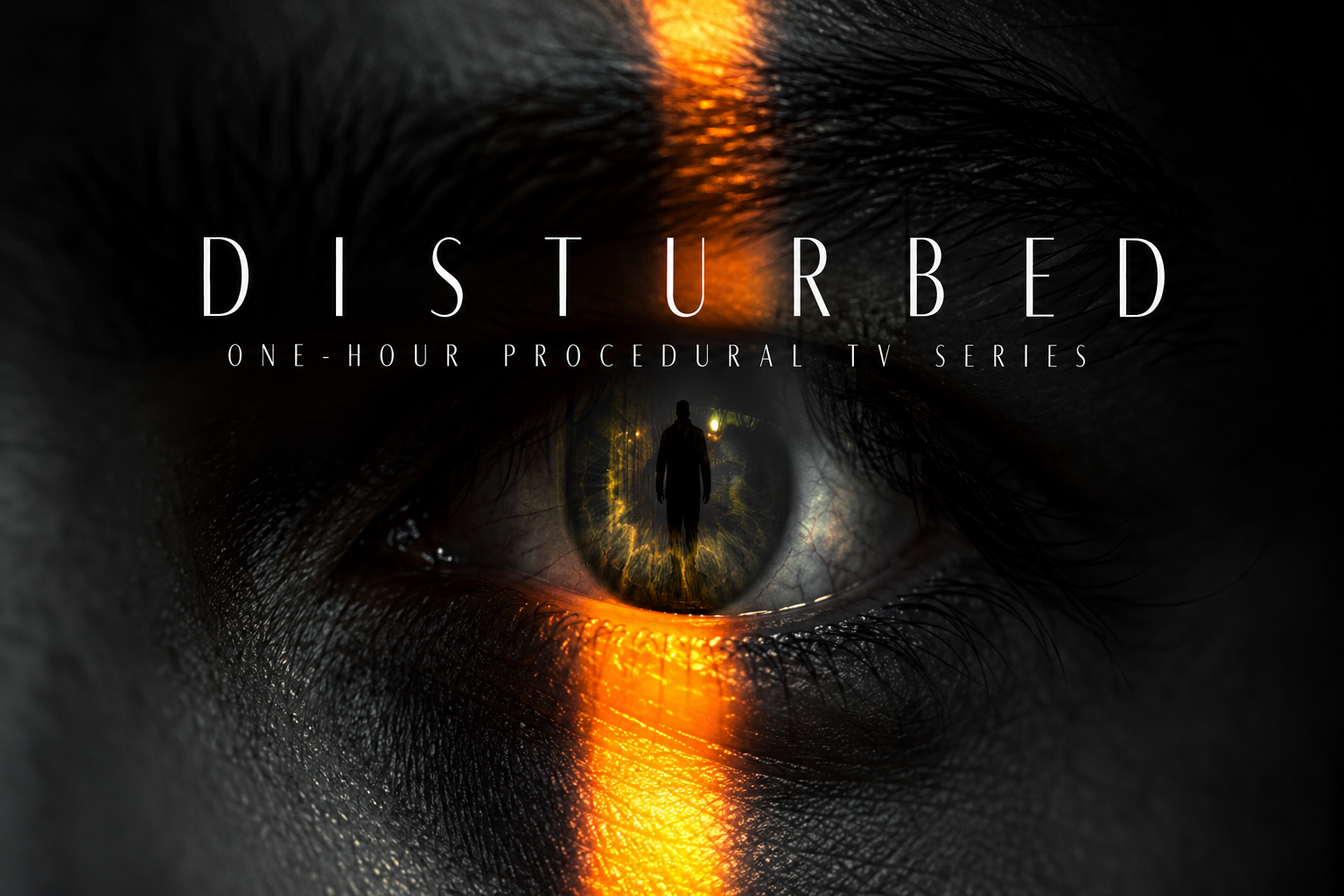 Disturbed television series artwork