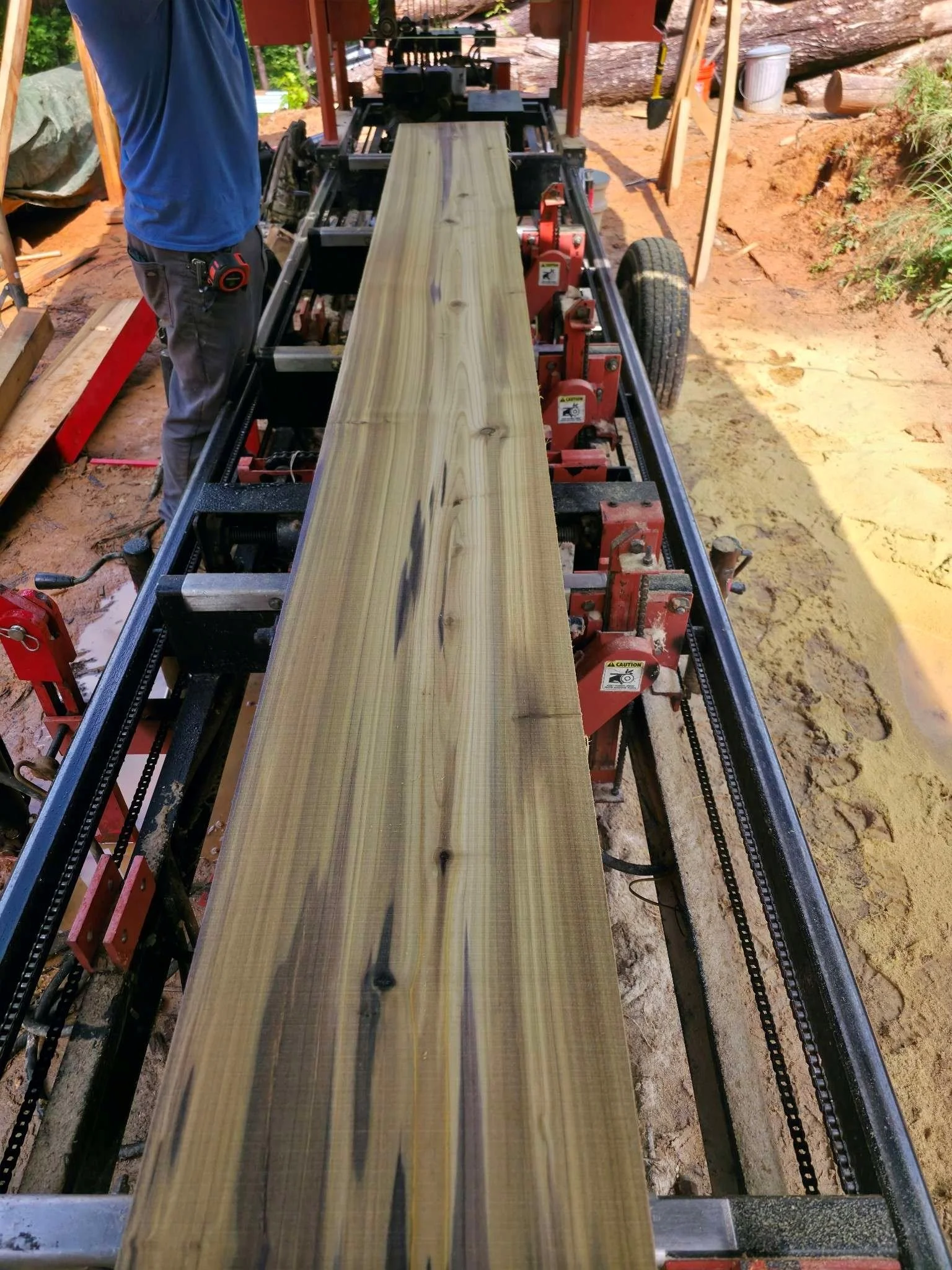 Rainbow tulip poplar beam on sawmill outside.