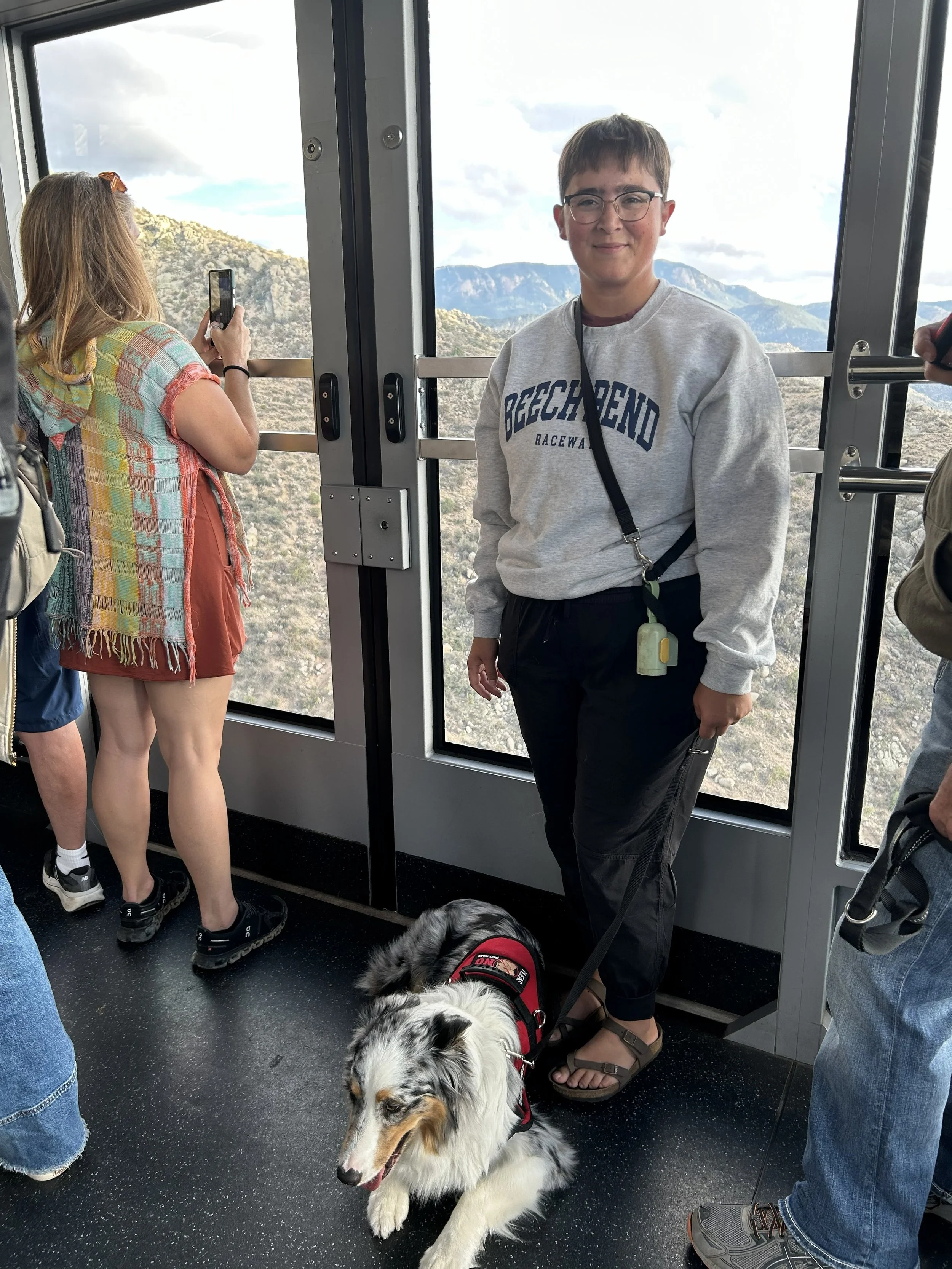 A person with glasses and a gray sweatshirt standing inside a cable car with a blue mountain view in the background. A dog on a leash with a red harness is lying on the floor in the foreground, surrounded by several other passengers.