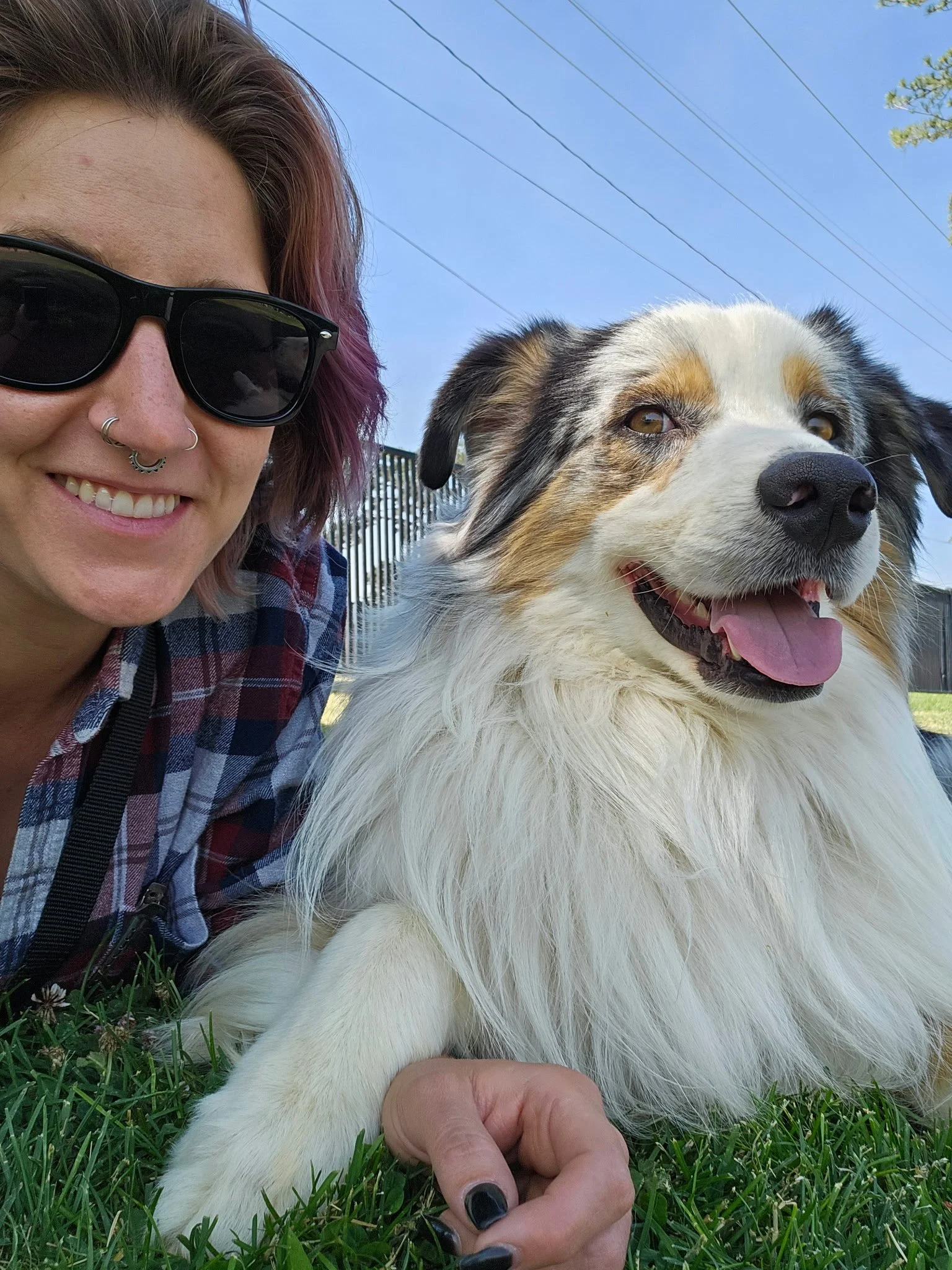A smiling woman with purple-tinted hair, sunglasses, and a septum piercing, taking a selfie with a large, fluffy Australian Shepherd dog outdoors on grass, with a fence, trees, power lines, and a blue sky in the background.