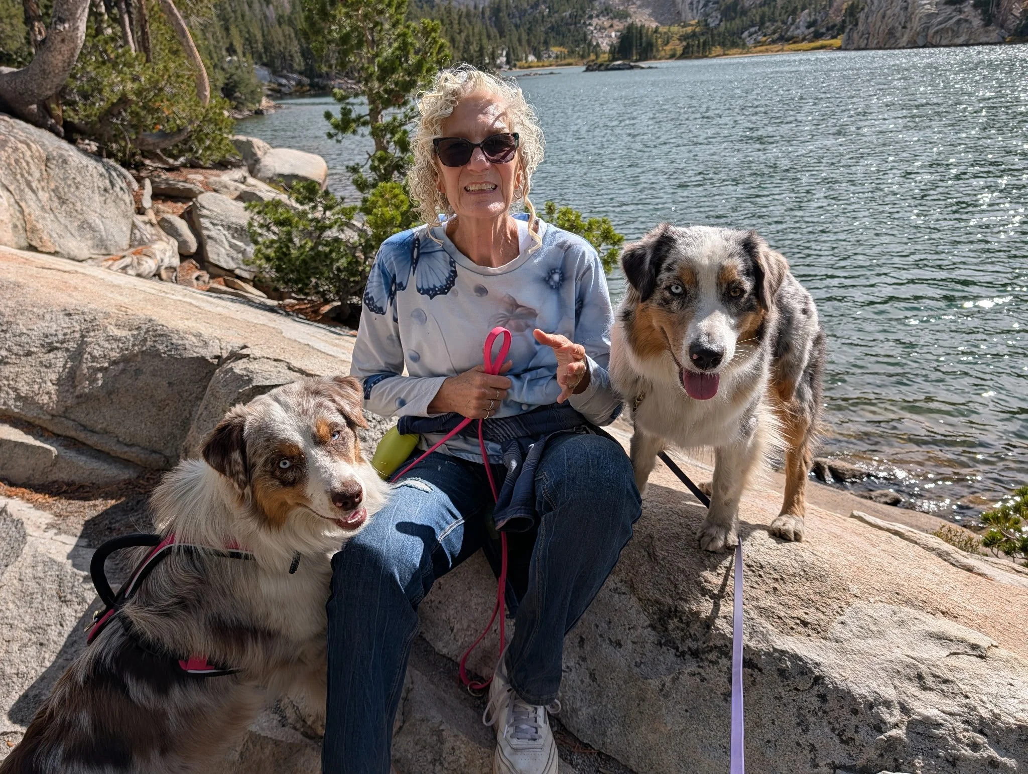 An elderly woman with curly blonde hair wearing sunglasses, a long sleeve shirt with butterfly prints, and jeans, sitting on a large rock near a lake with three Australian Shepherd dogs. The background features a lake surrounded by trees and rocky hills under a bright, sunny sky.