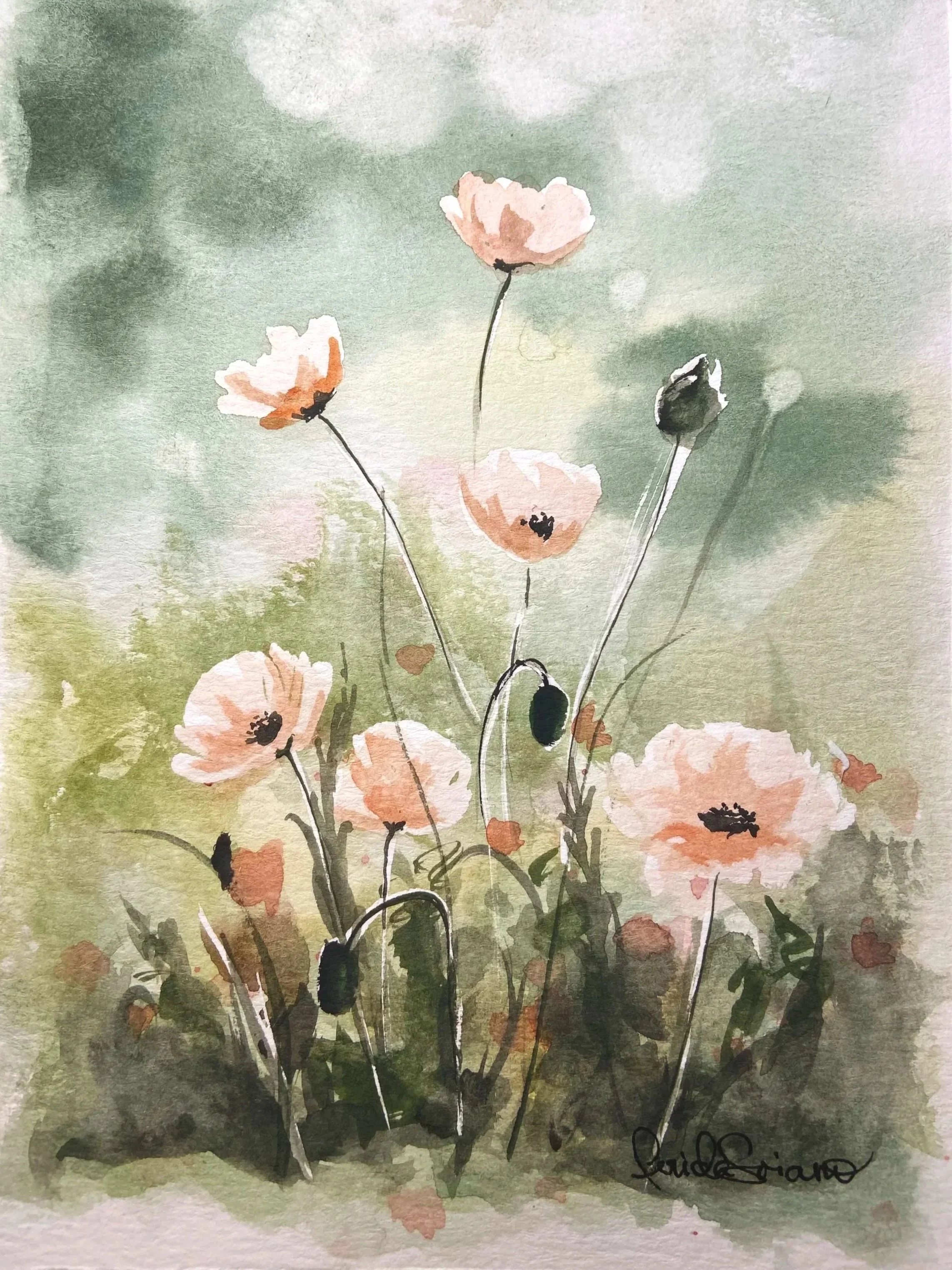 Watercolor painting of pink poppies with dark centers and slender stems against a soft green background.