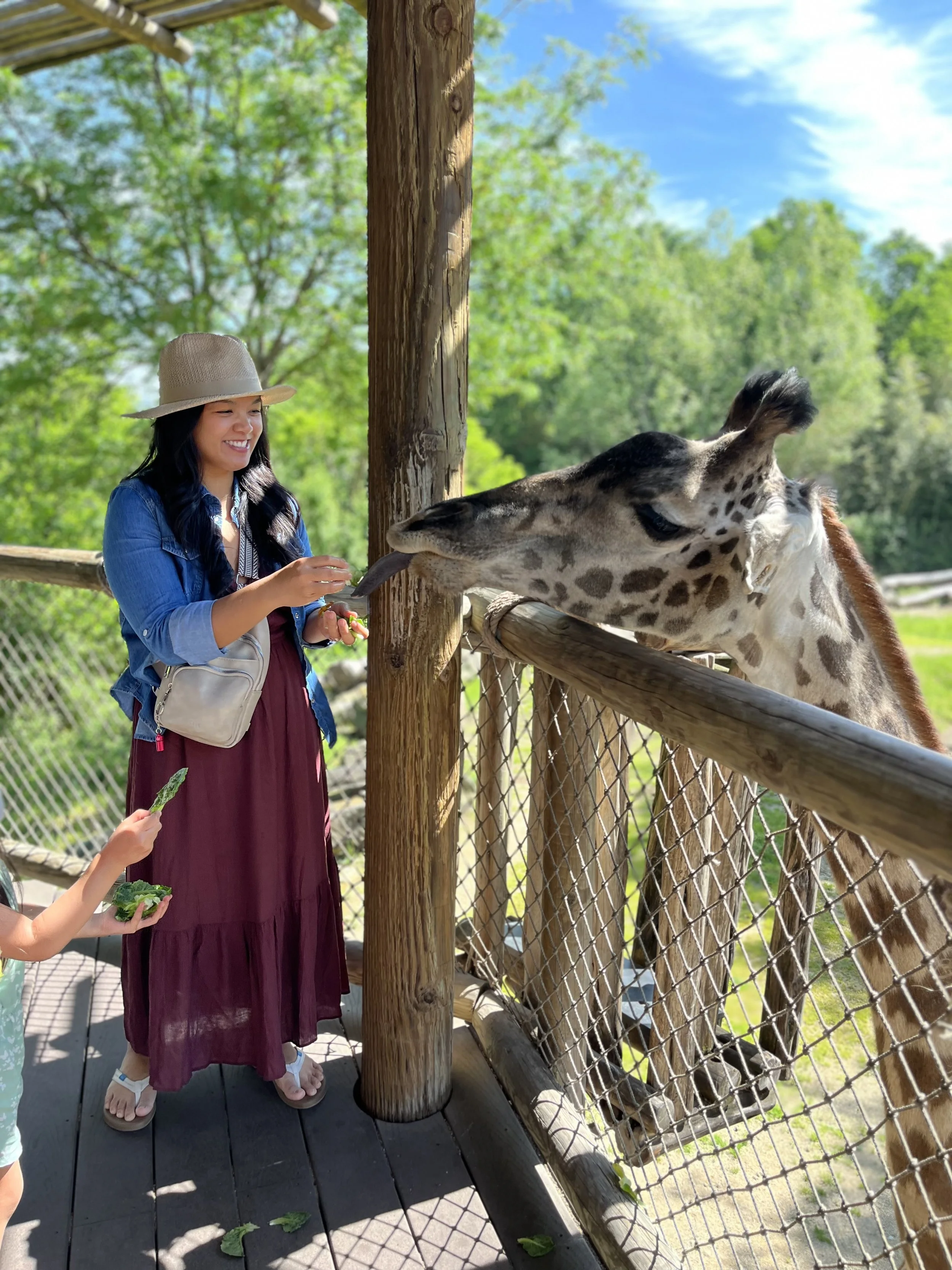 A woman wearing a wide-brimmed hat and a long dress feeding a giraffe at a zoo or animal sanctuary. There are children nearby holding leafy greens for the animal. The scene is outdoors with green trees and a blue sky in the background.