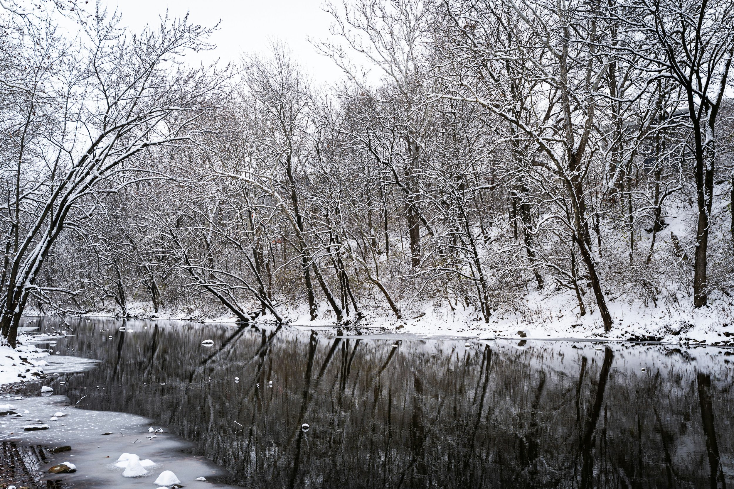 Snow-covered trees along a river bank in winter.
