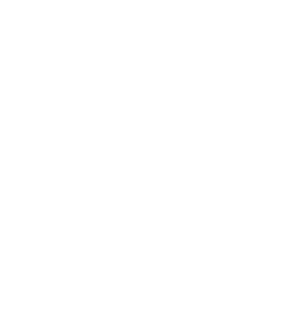 Logo for The Ice Queen Artisanal Ice Company featuring a crown above a three-dimensional ice cube.