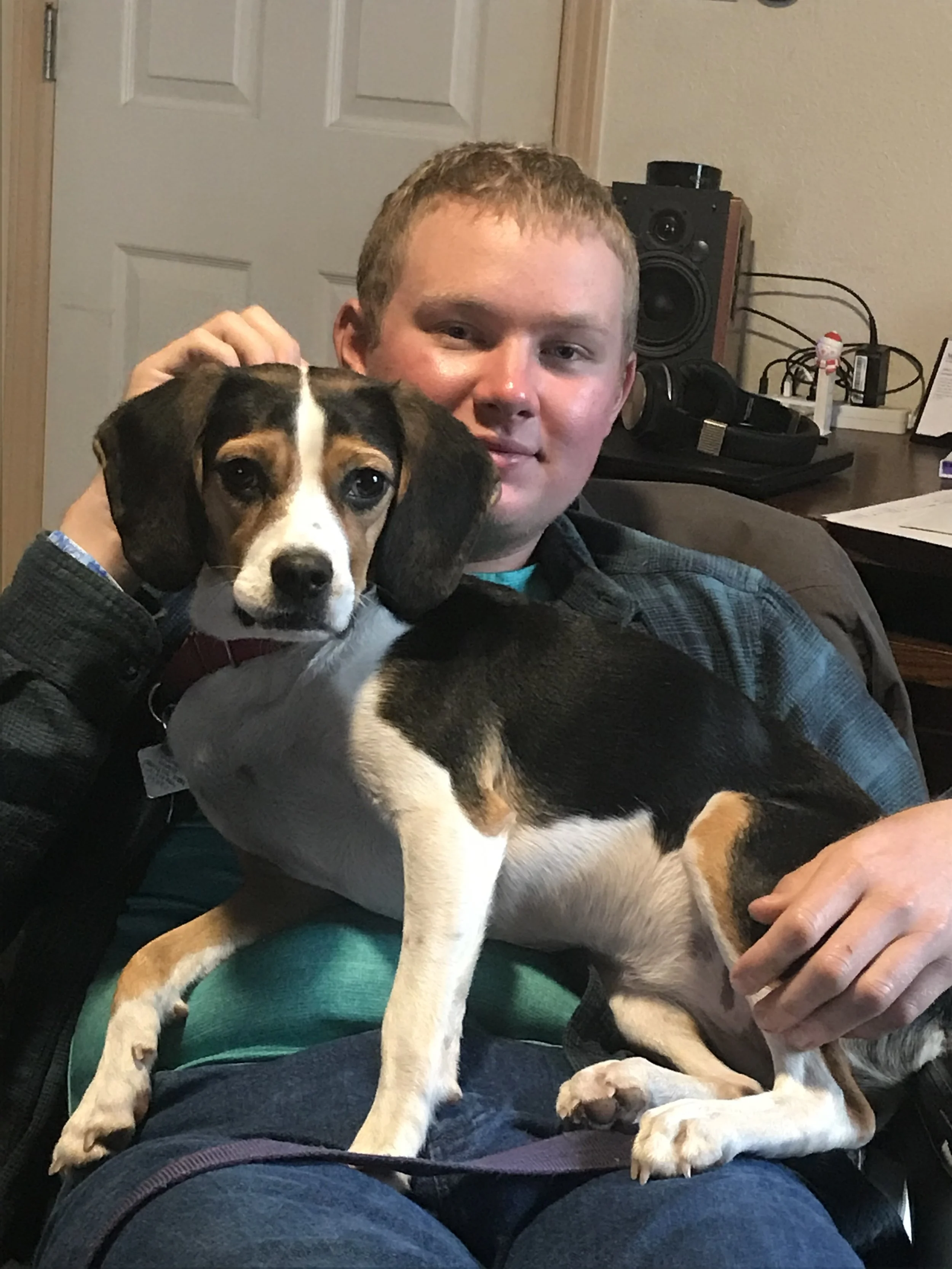 A man holding a black, brown, and white puppy with floppy ears and blue eyes, sitting on a person's lap in a room with a door and audio equipment in the background.