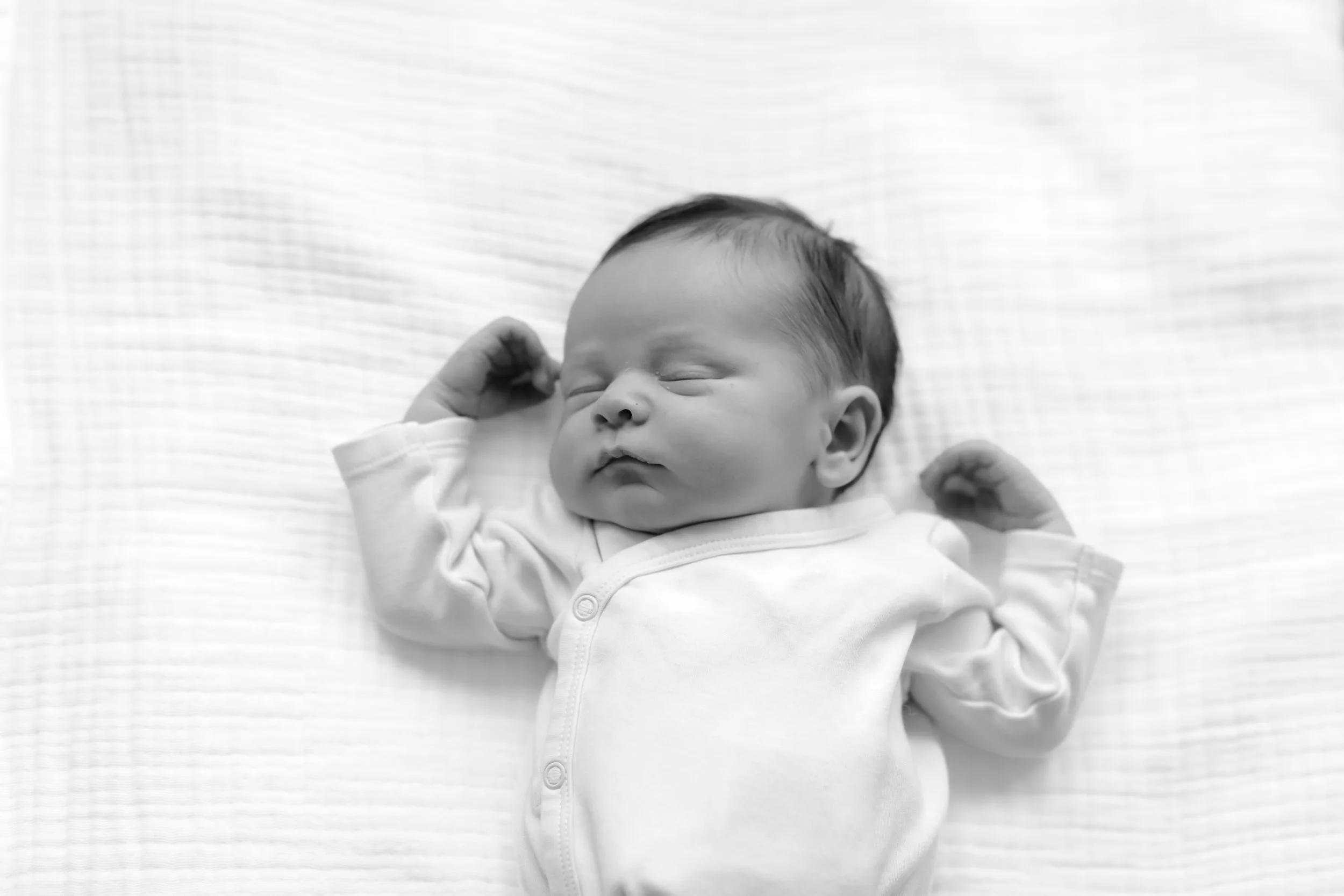 IMG_0616.jpg
