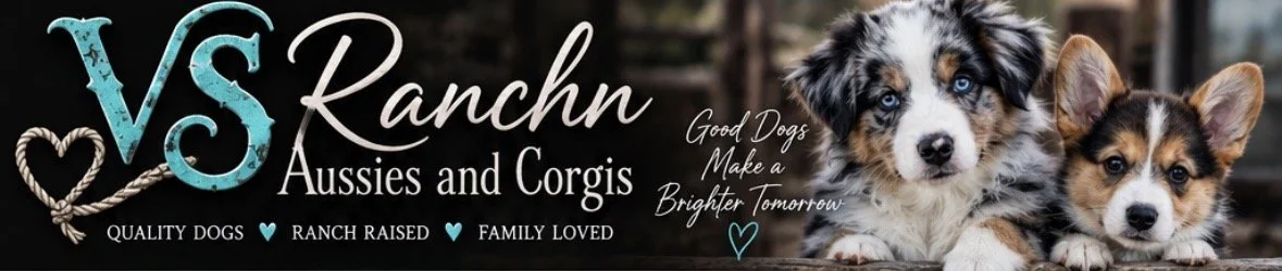 VS Ranchn’ Aussies &amp; Corgis