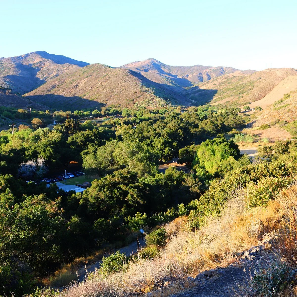 Camarillo Grove Park