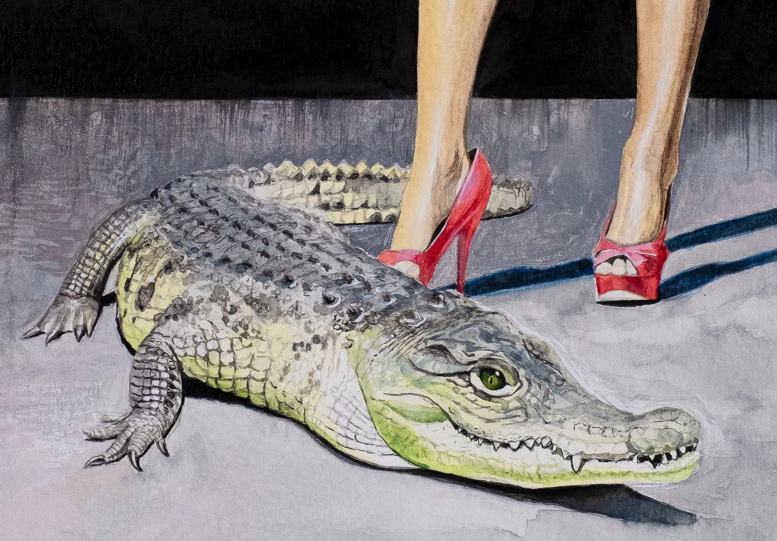 Alligator lying on pavement beside a person wearing red high heels