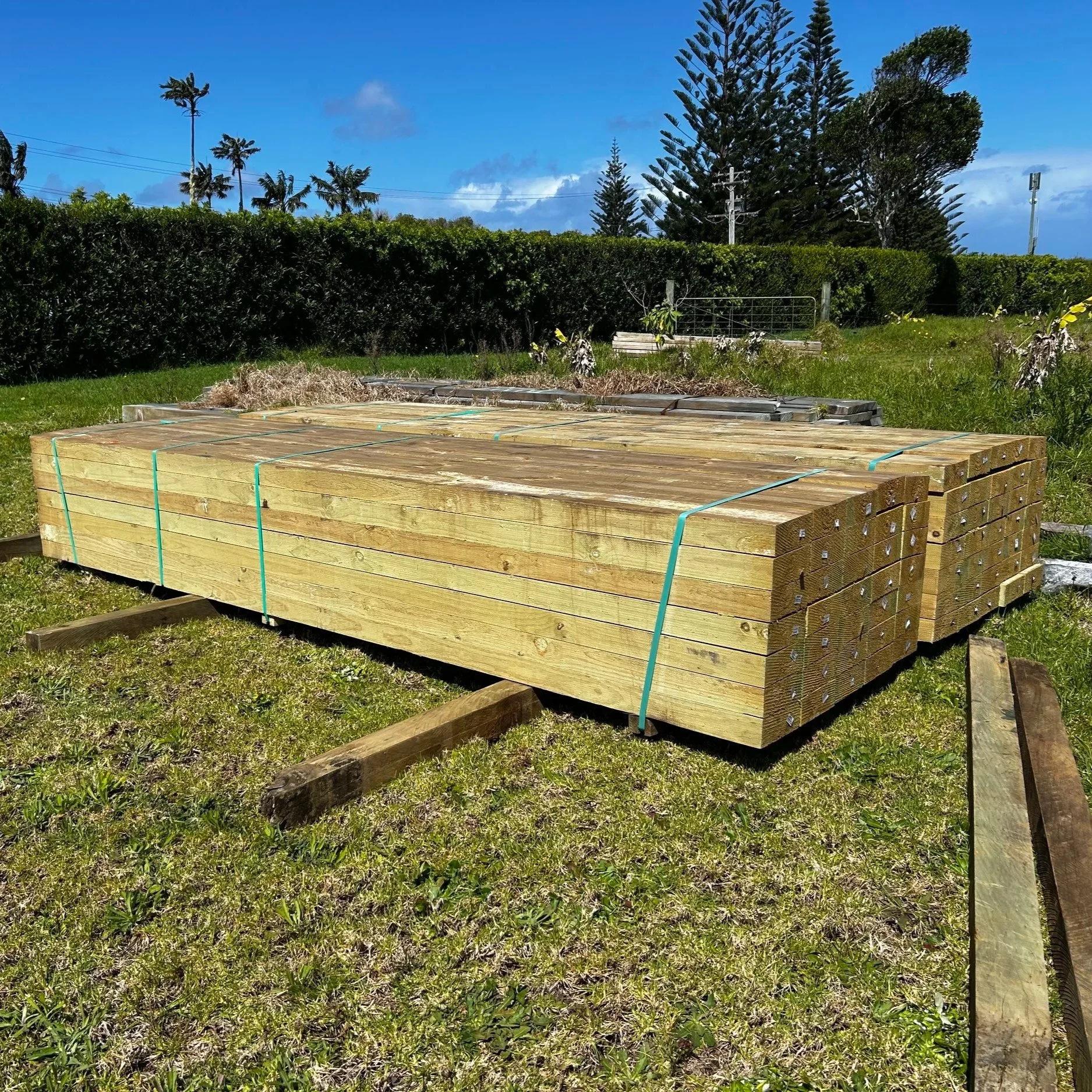 Stacked wooden planks on the grass, with trees, bushes, and utility poles in the background under a blue sky with some clouds.