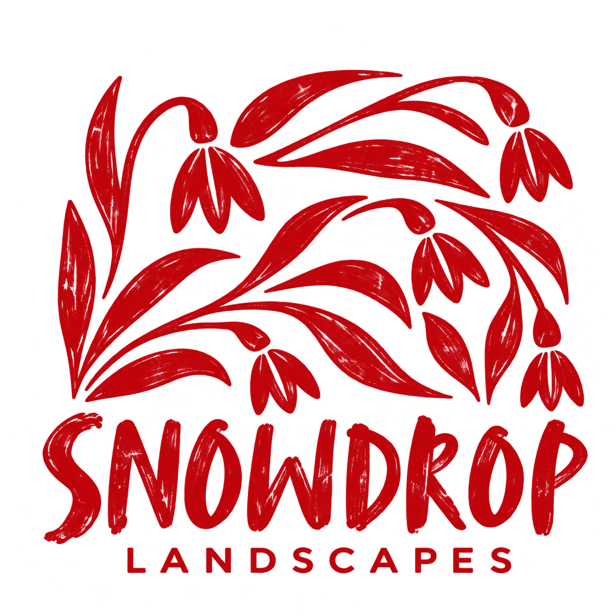 Snowdrop Landscapes 