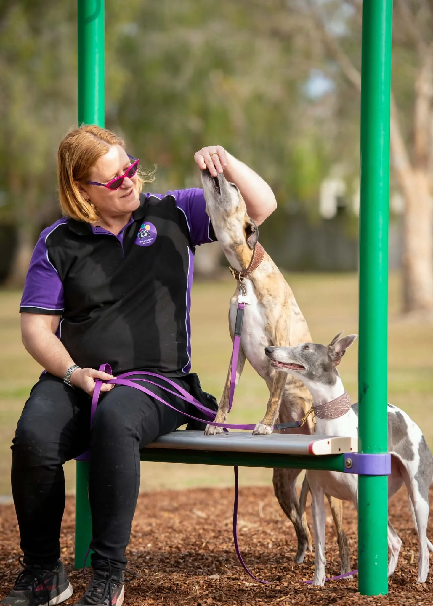 Kirstin working with a whippet beside green weave poles at a dog training ground