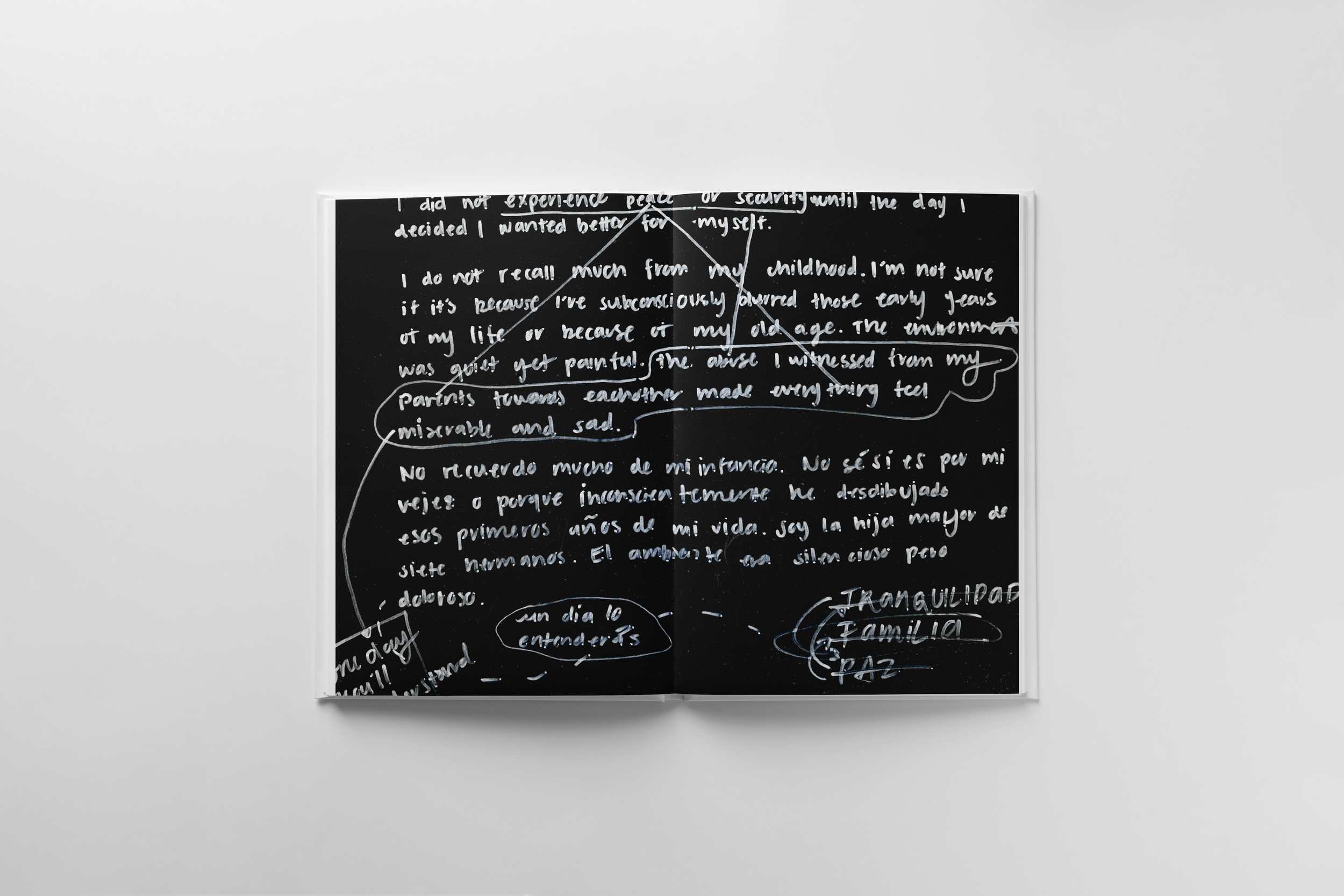 06-White Marker.png