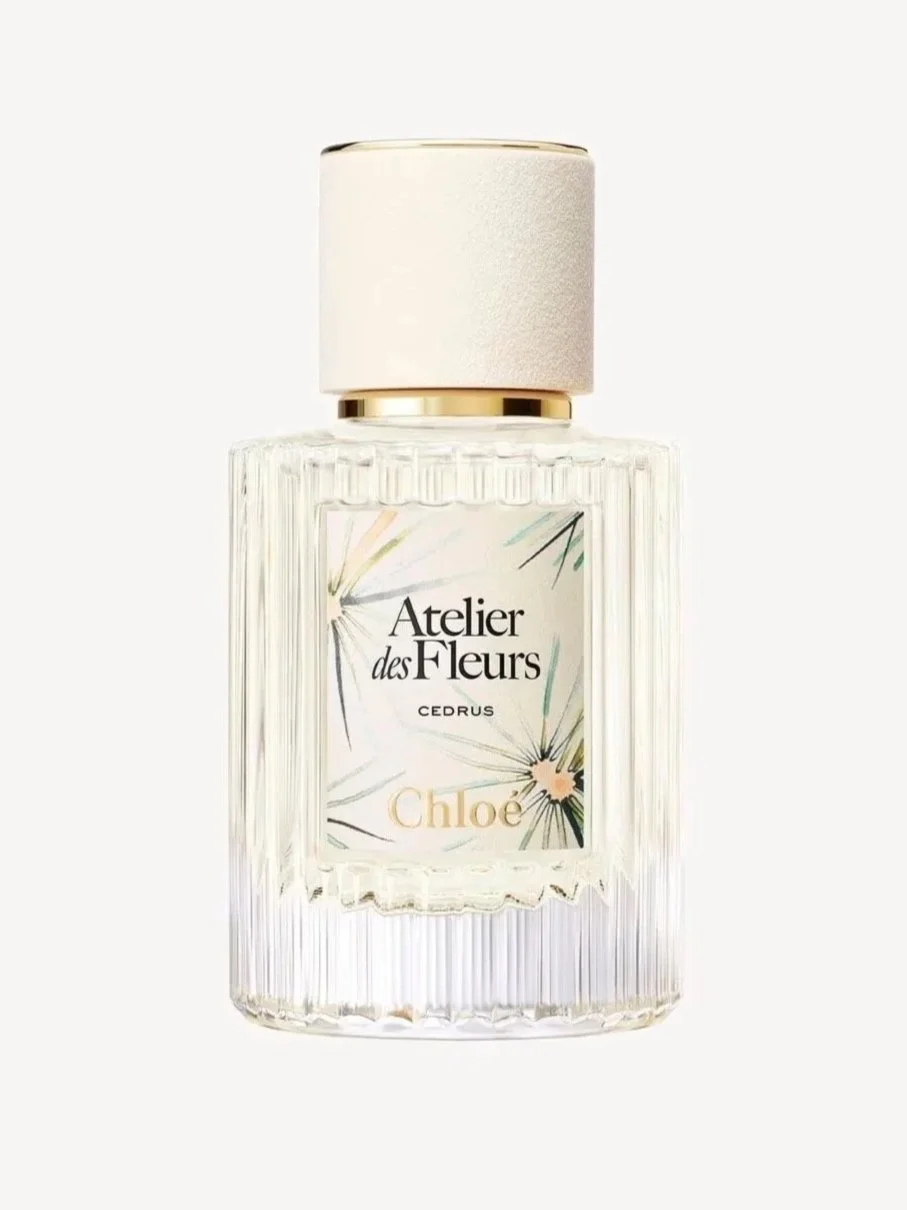 Cedrus Chloé Perfume

