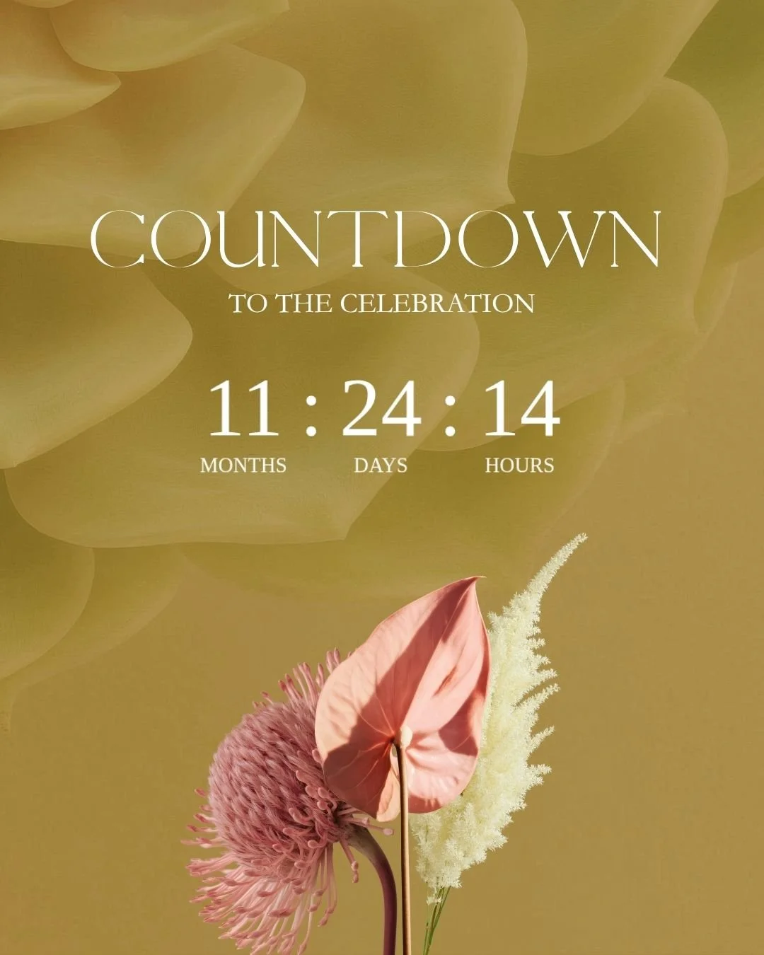 the-trianon-letter-06-countdown.jpg