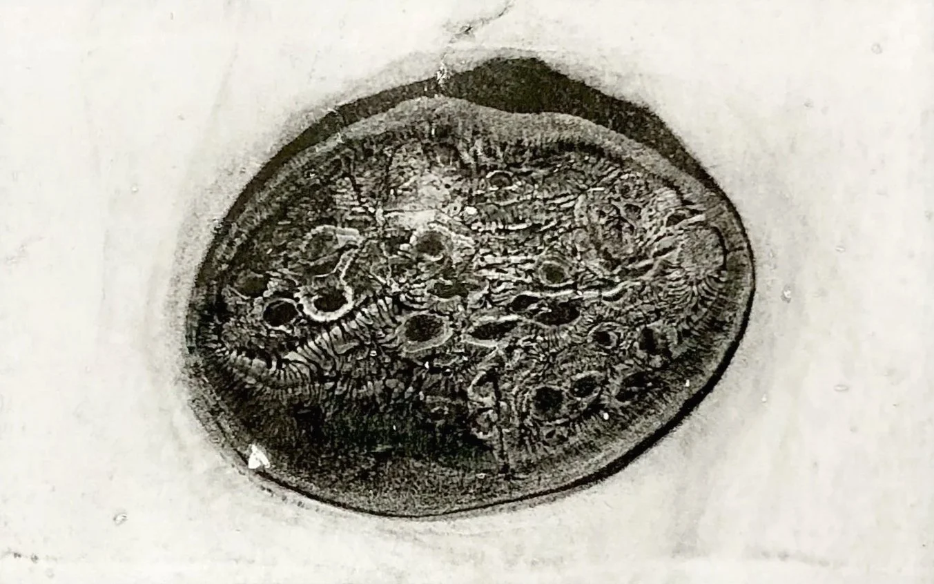 Ursprung | Volumenpapier | 5 x 7 cm