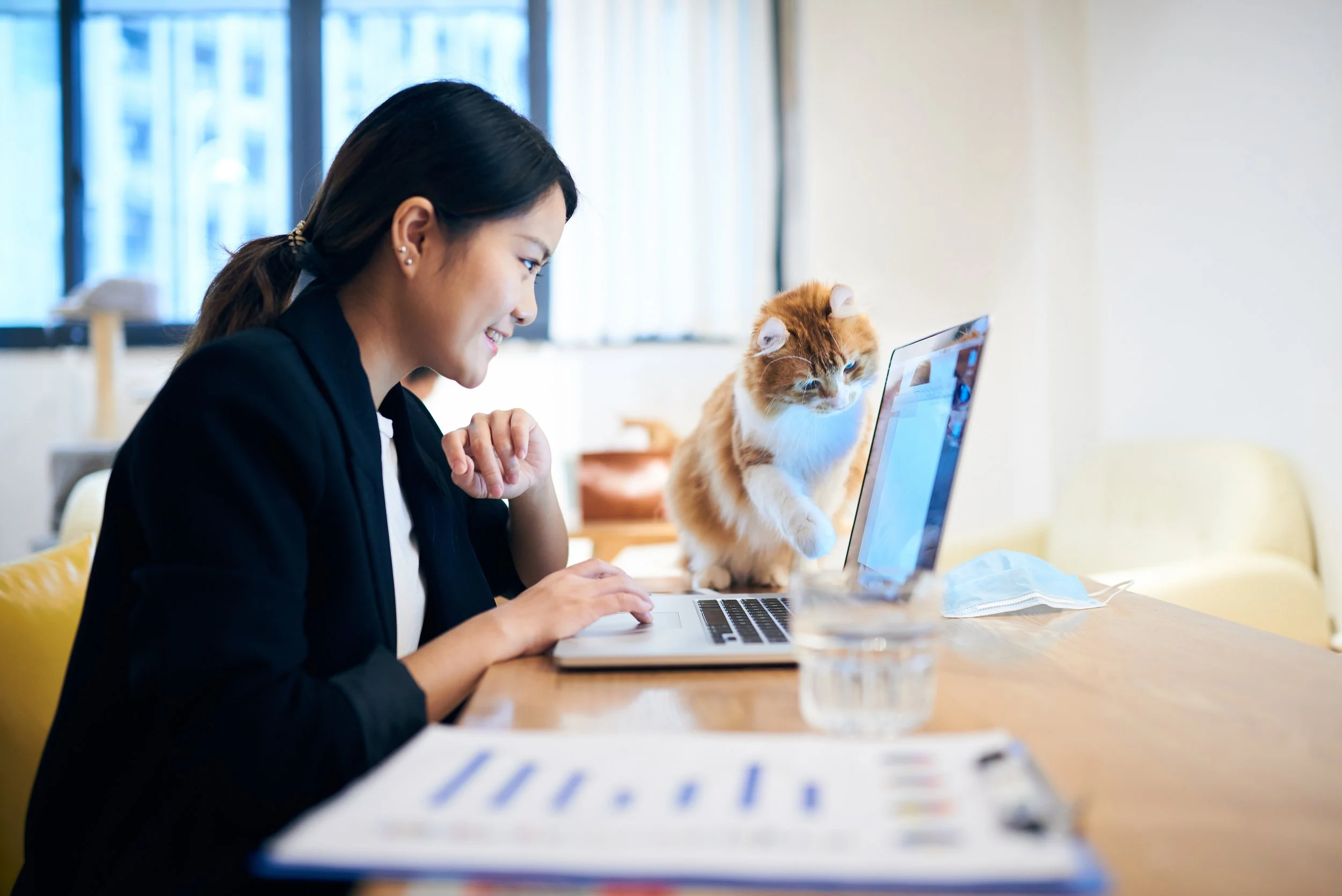 A woman with dark hair tied back smiling as she looks at her laptop with a cat perched on the side of the screen. The setting is a bright room with large windows.