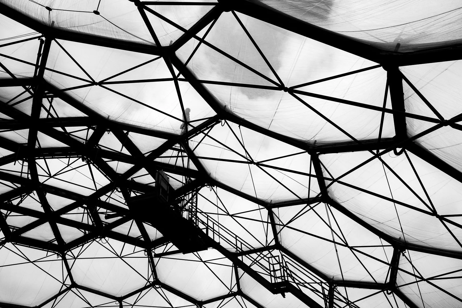 Close-up of the framework of a large geometric structure, possibly a dome or greenhouse, with a complex network of metal beams and translucent panels, shown in black and white.